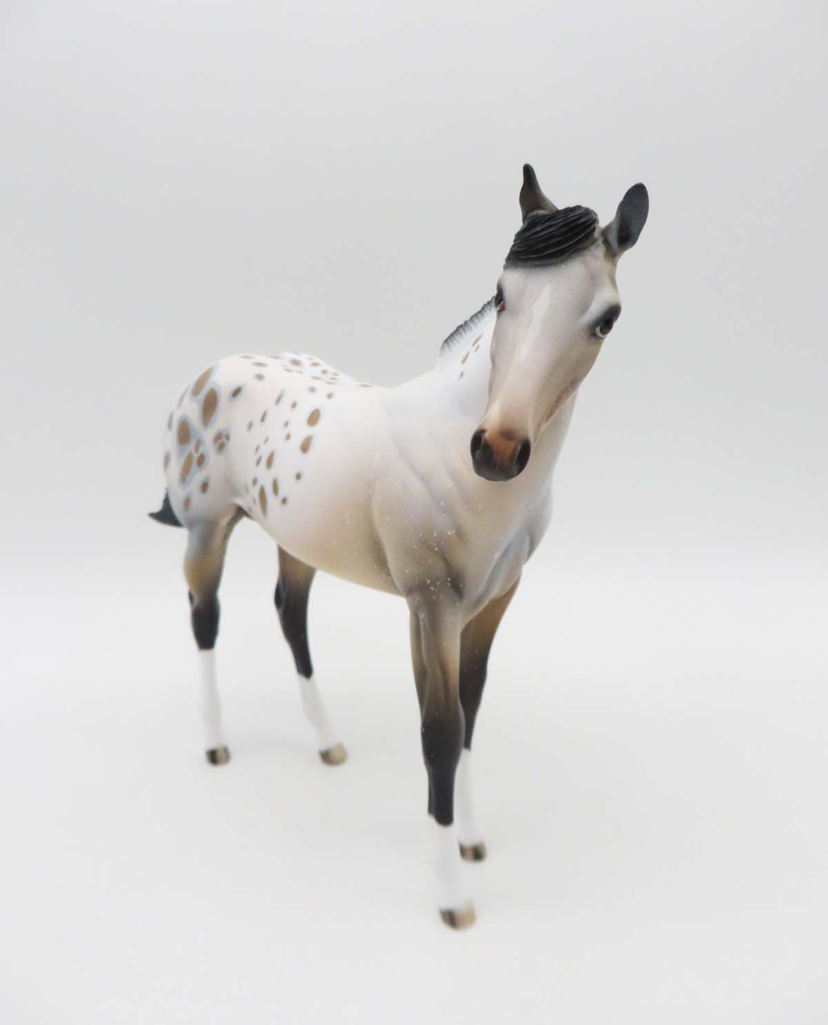 Lightfoot-OOAK Weanling Appaloosa By Dawn Quick SHCF23