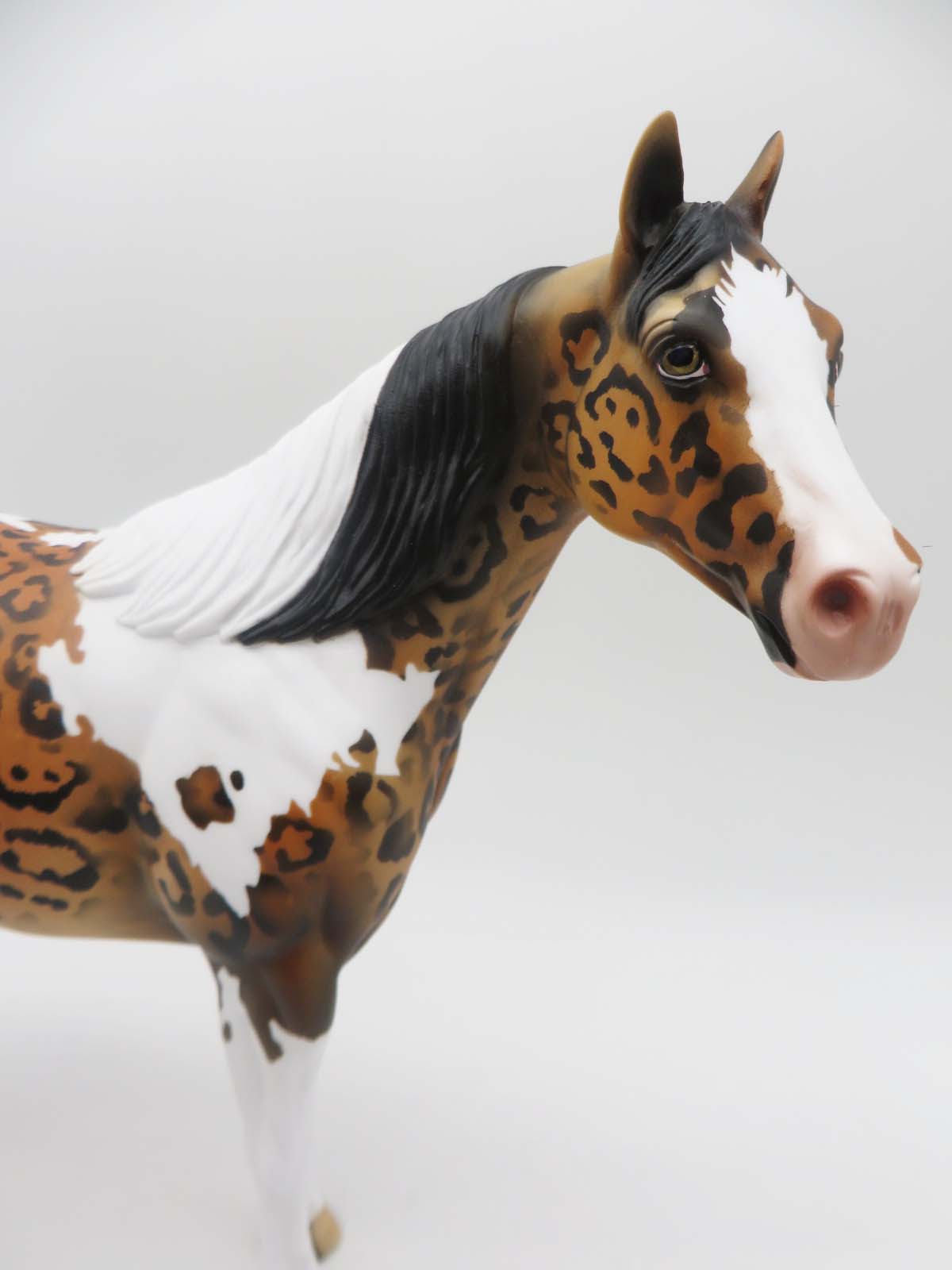 Lil Wayne-OOAK Cheetah Inspired ISH By Dawn Quick P&C 23