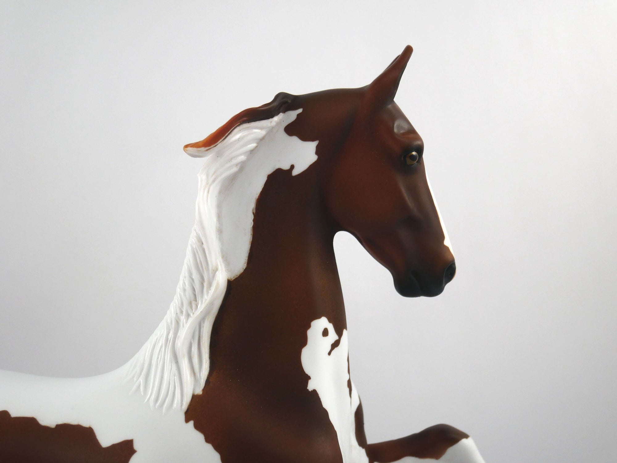 Line of Scrimmage-OOAK Liver Chestnut Paint Saddlebred SB21