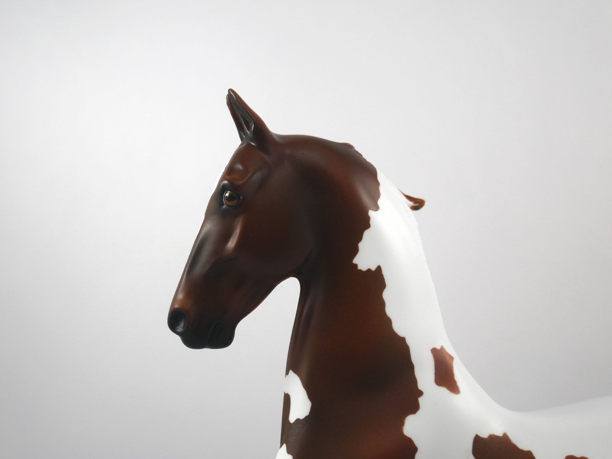 Line of Scrimmage-OOAK Liver Chestnut Paint Saddlebred SB21