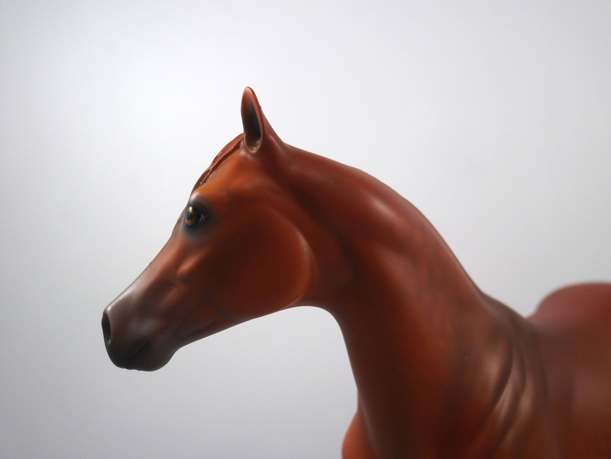 Lion-OOAK Dapple Chestnut Pony By Dawn Quick SB21