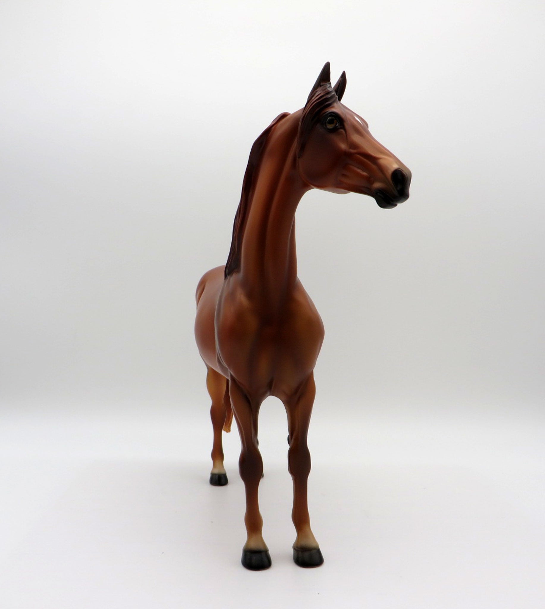 Little Green Prince LE-30 Traditional Morgan Painted By Julie Keim EQ 2021