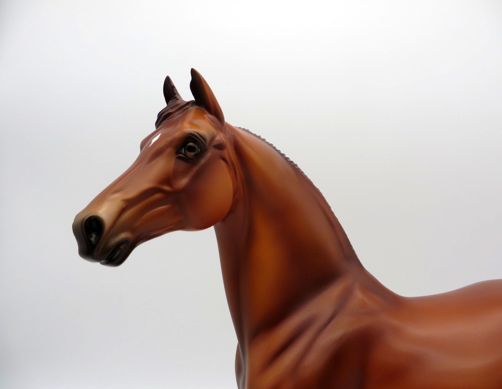 Little Green Prince LE-30 Traditional Morgan Painted By Julie Keim EQ 2021