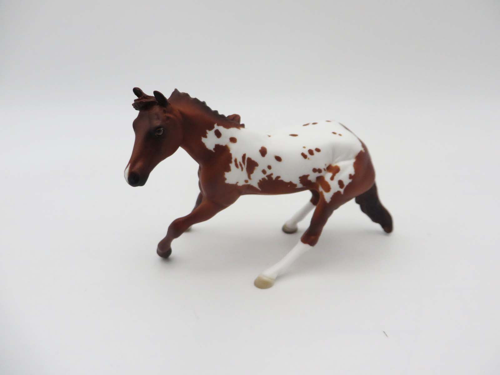 Little Buck - OOAK - Appaloosa Cutter By Donna Fredley - SHCF23
