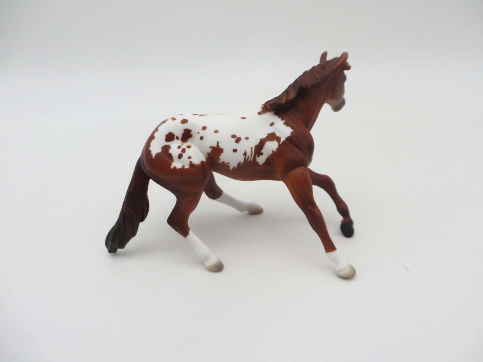 Little Buck - OOAK - Appaloosa Cutter By Donna Fredley - SHCF23