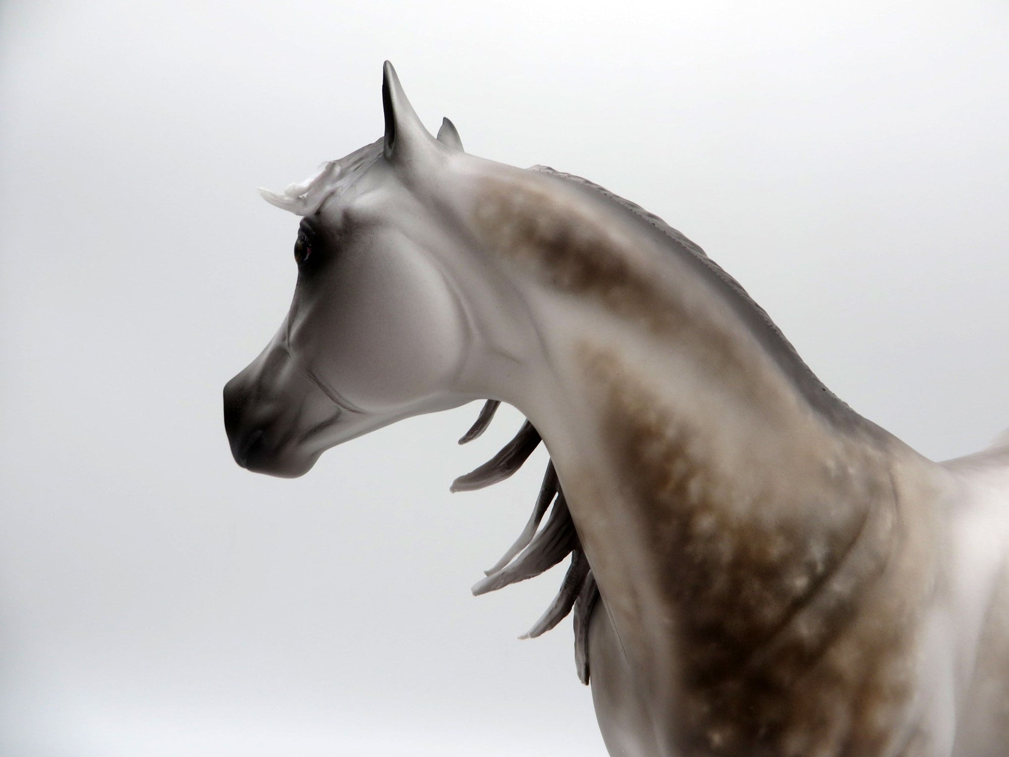 Love Letters-OOAK Star Dapple Grey ISH Painted by Sheryl Leisure 8/1/21