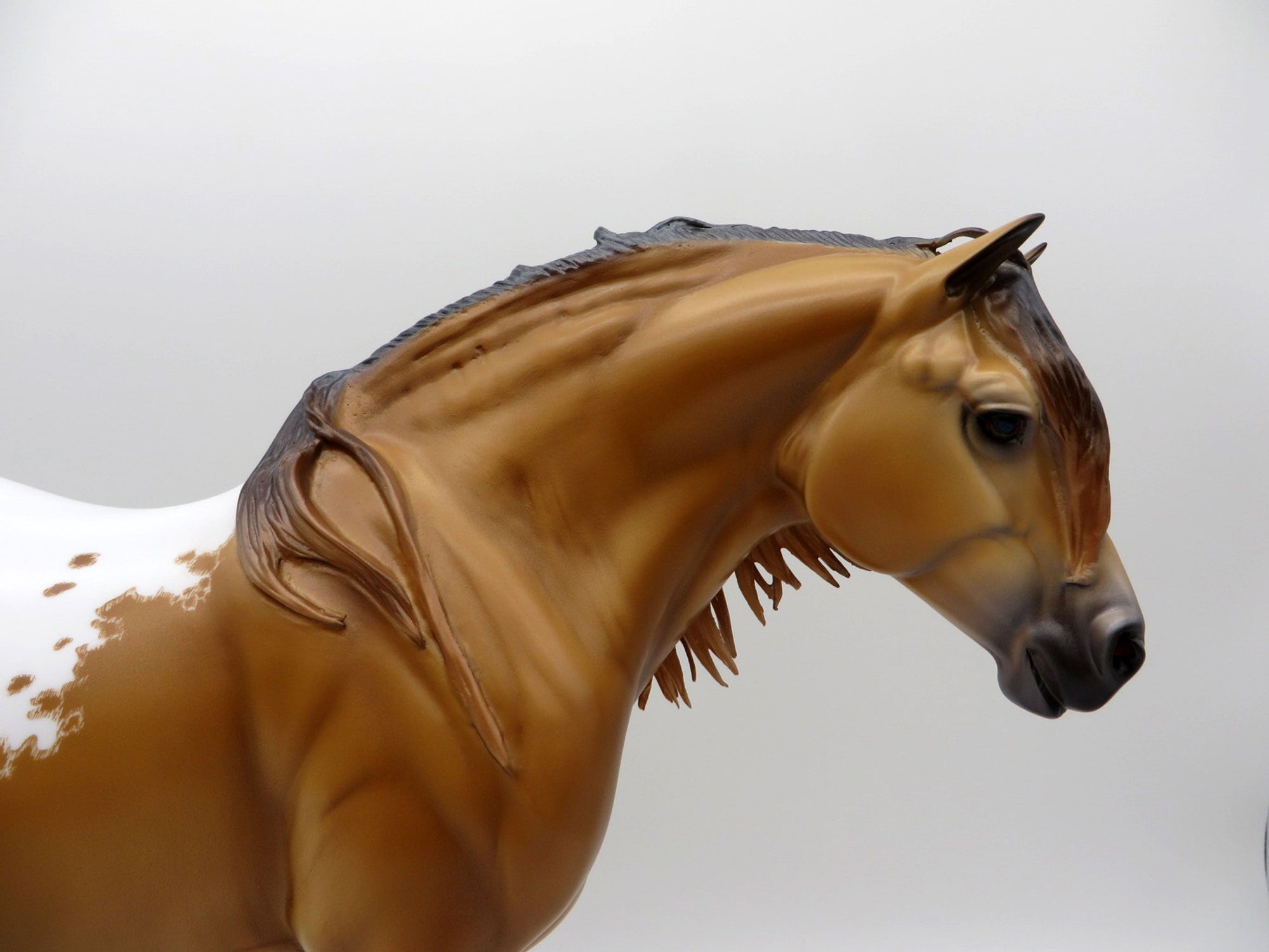 Lucania-OOAK Heavy Draft Mare Buckskin Appaloosa Painted By Caroline Boydston EQ 21