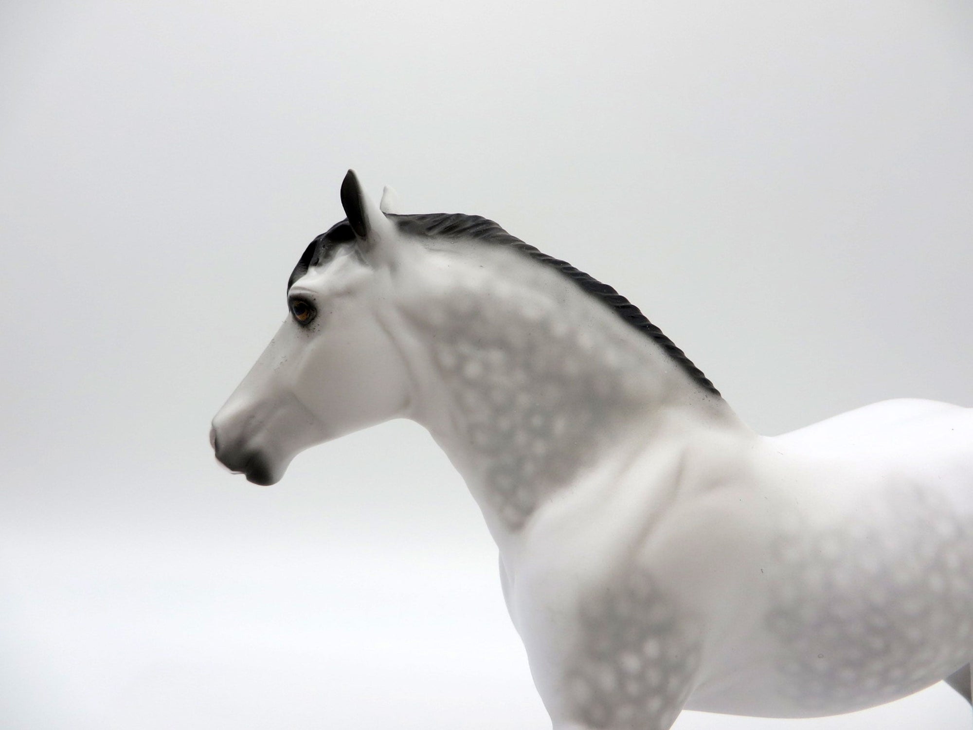 Lulani-OOAK Dapple Grey Trotting Drafter Pebbles SHCF 2021