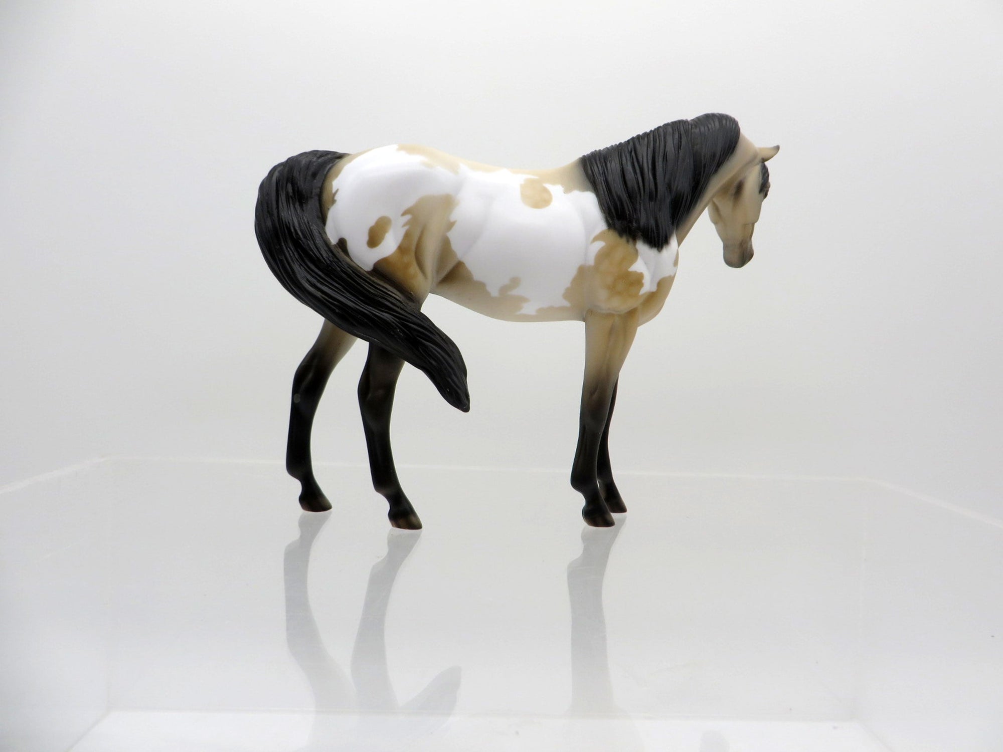 Lumi-OOAK Buckskin Paint Arabian Pebbles SHCF 2021