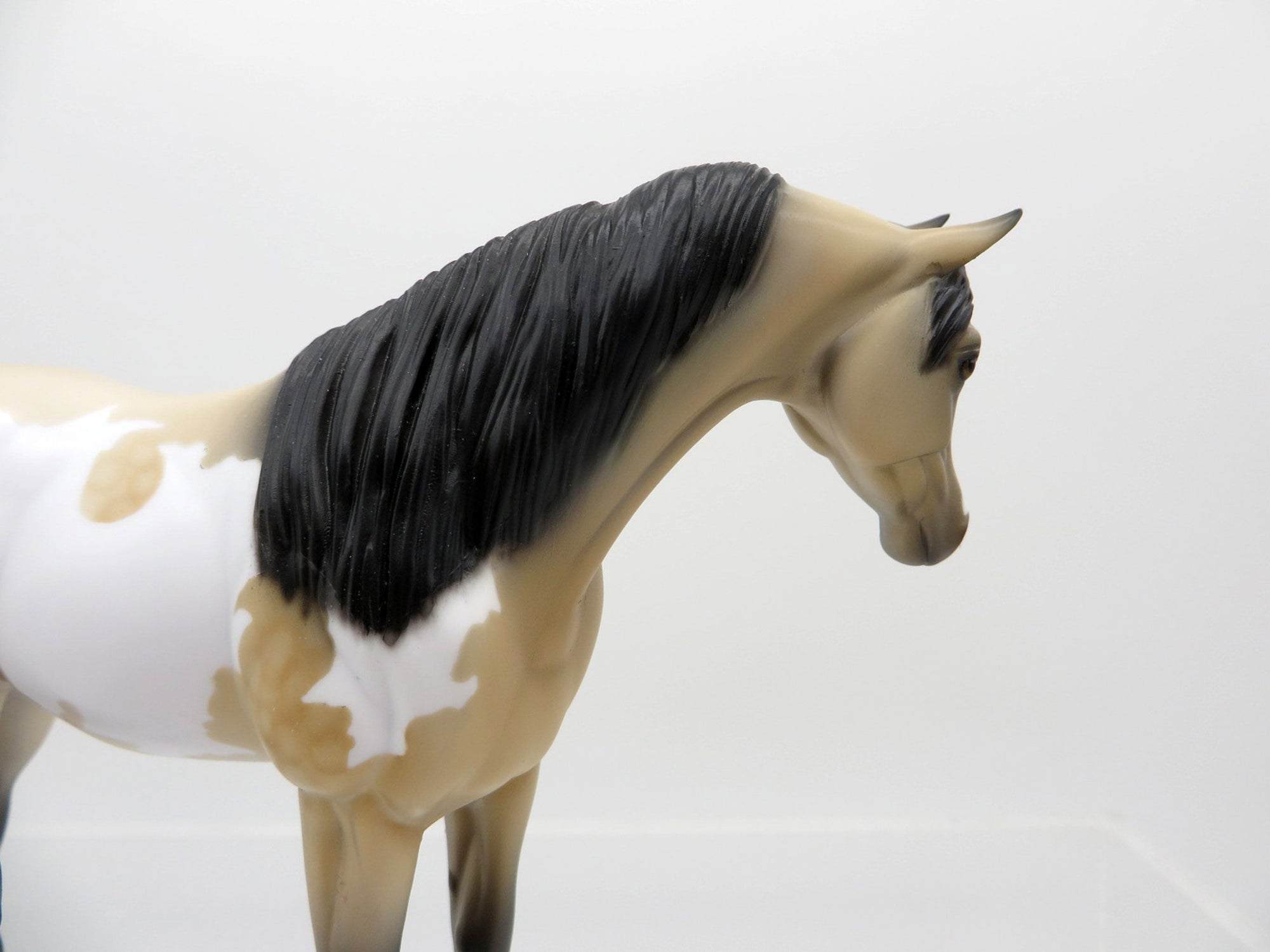 Lumi-OOAK Buckskin Paint Arabian Pebbles SHCF 2021