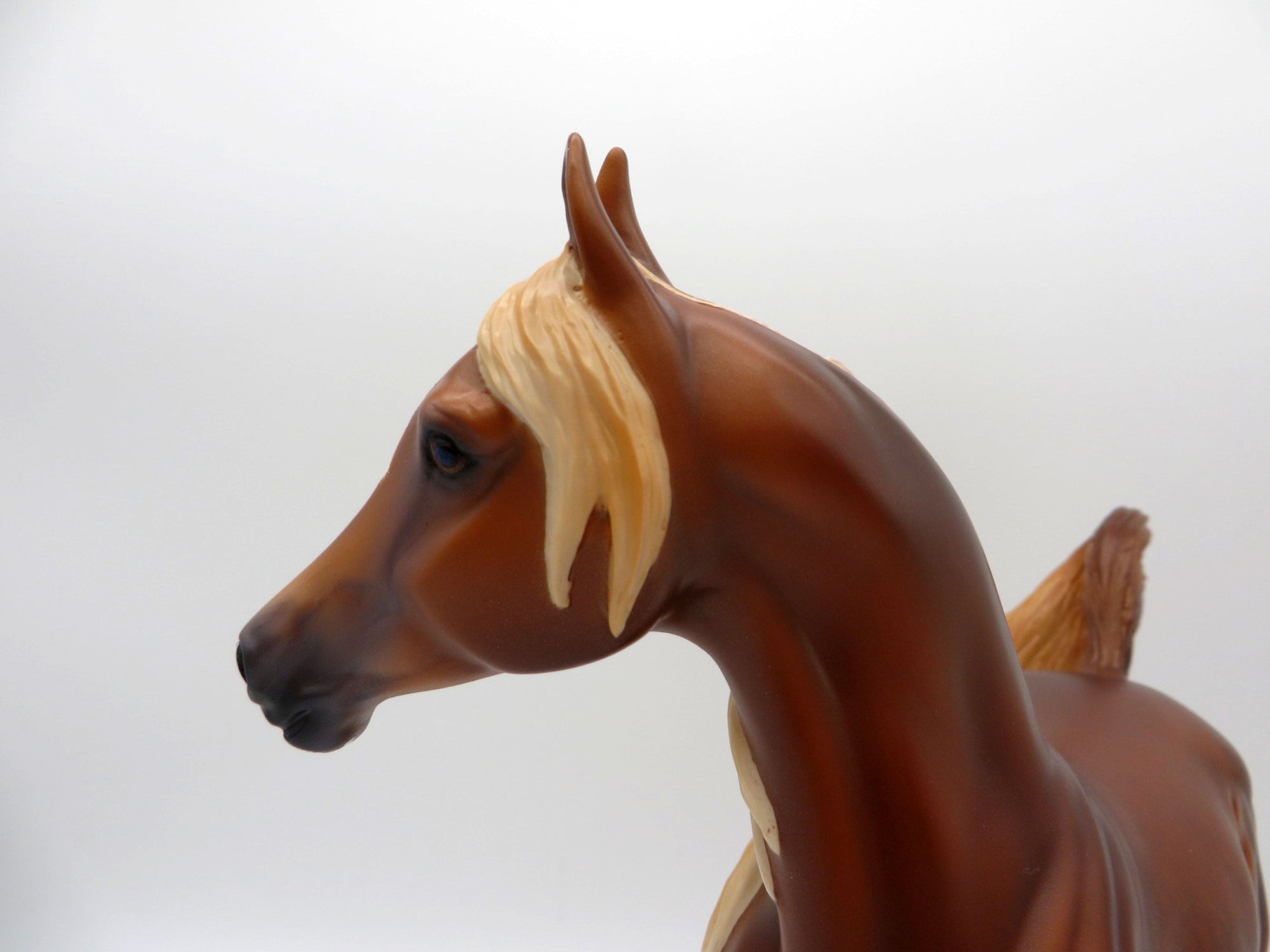Lyell-OOAK Dapple Chestnut Arabian Mare Painted By Caroline Boydston 6/28/21