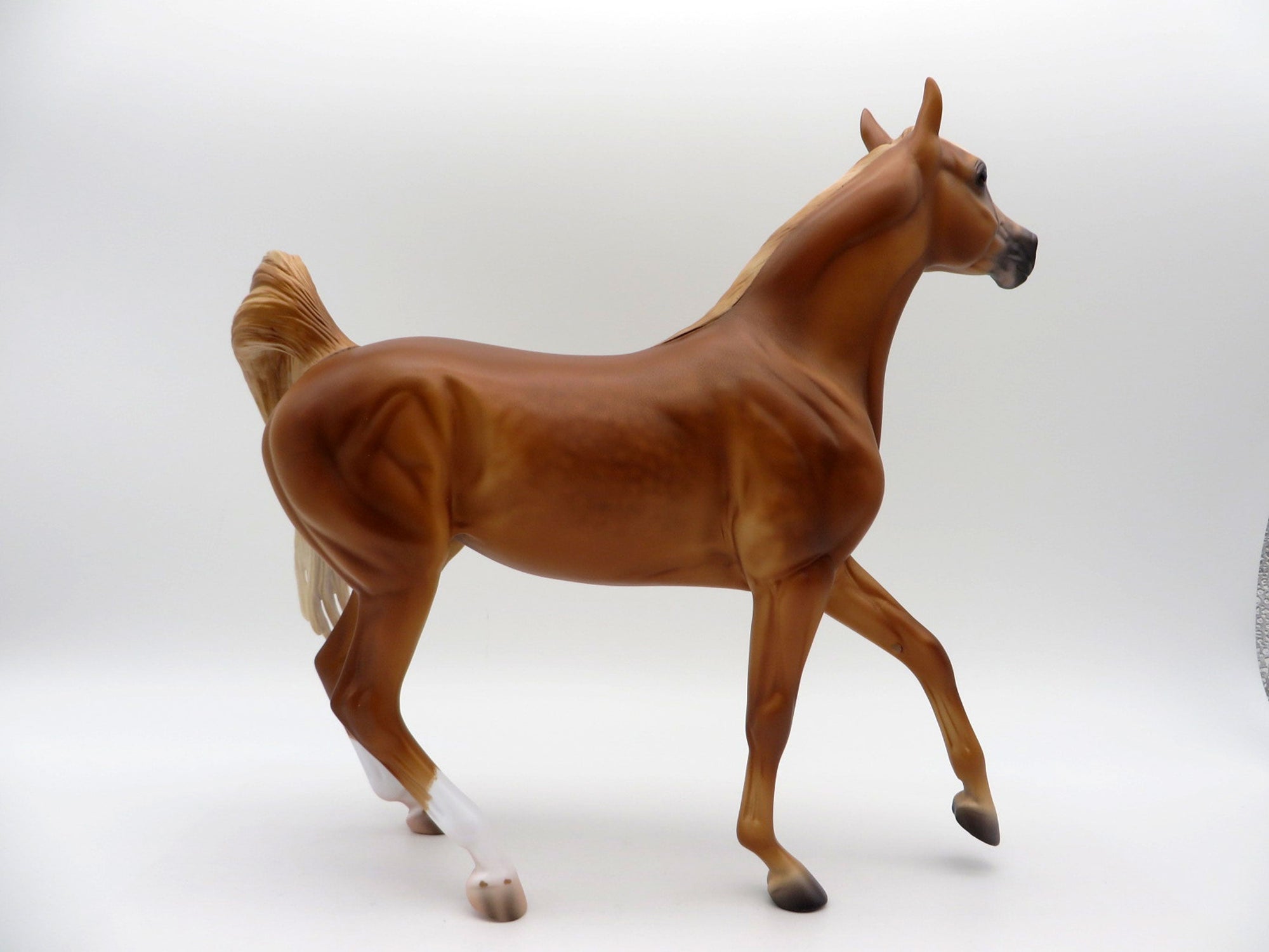 Malawi-OOAK Chestnut Arabian Mare SHCF 21