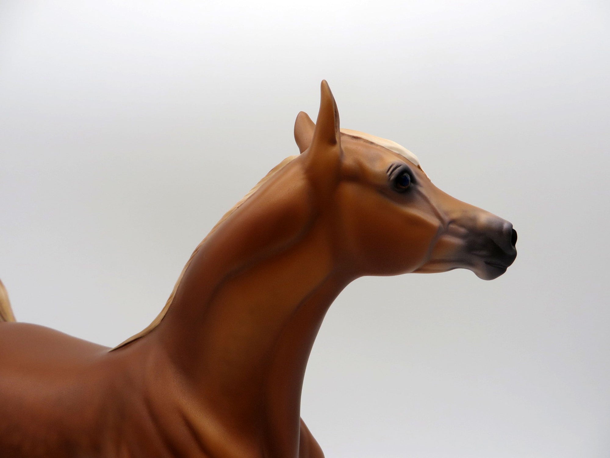 Malawi-OOAK Chestnut Arabian Mare SHCF 21