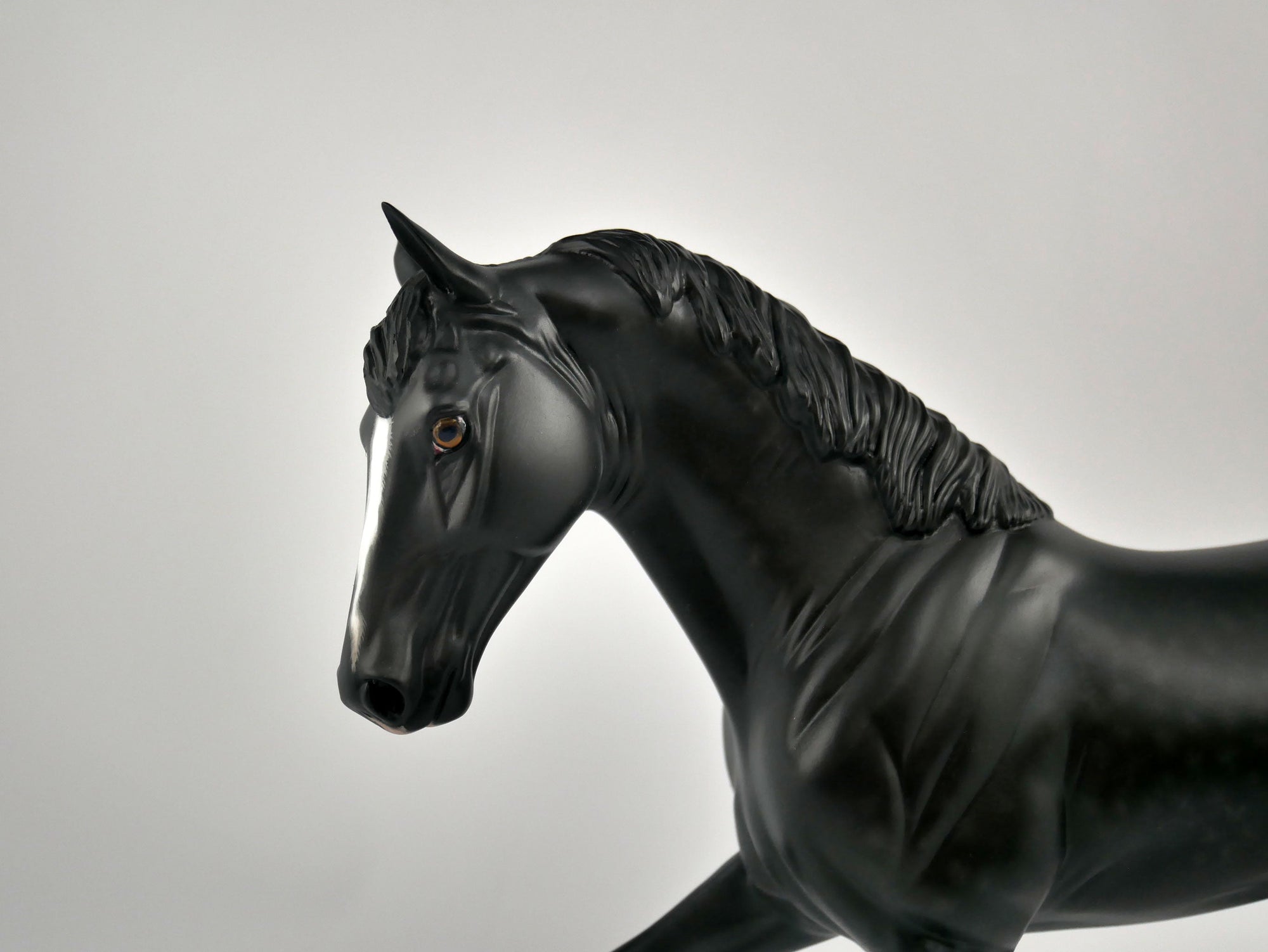 MALCOLM-OOAK BLACK DAPPLE TWH BY SHERYL LEISURE 11/24/20