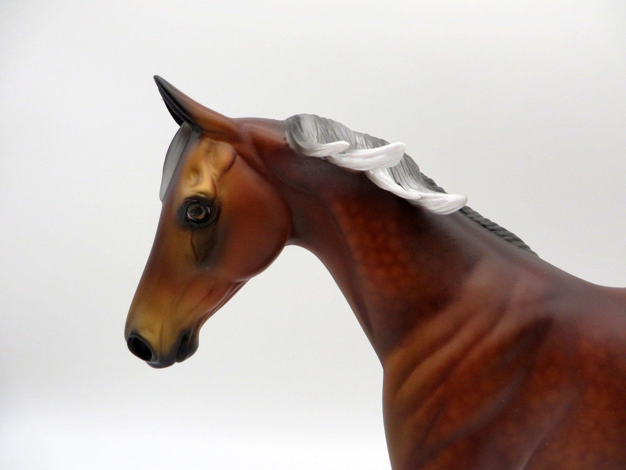 Mammatus-LE-6- Silver Bay Pony SHCF 2021