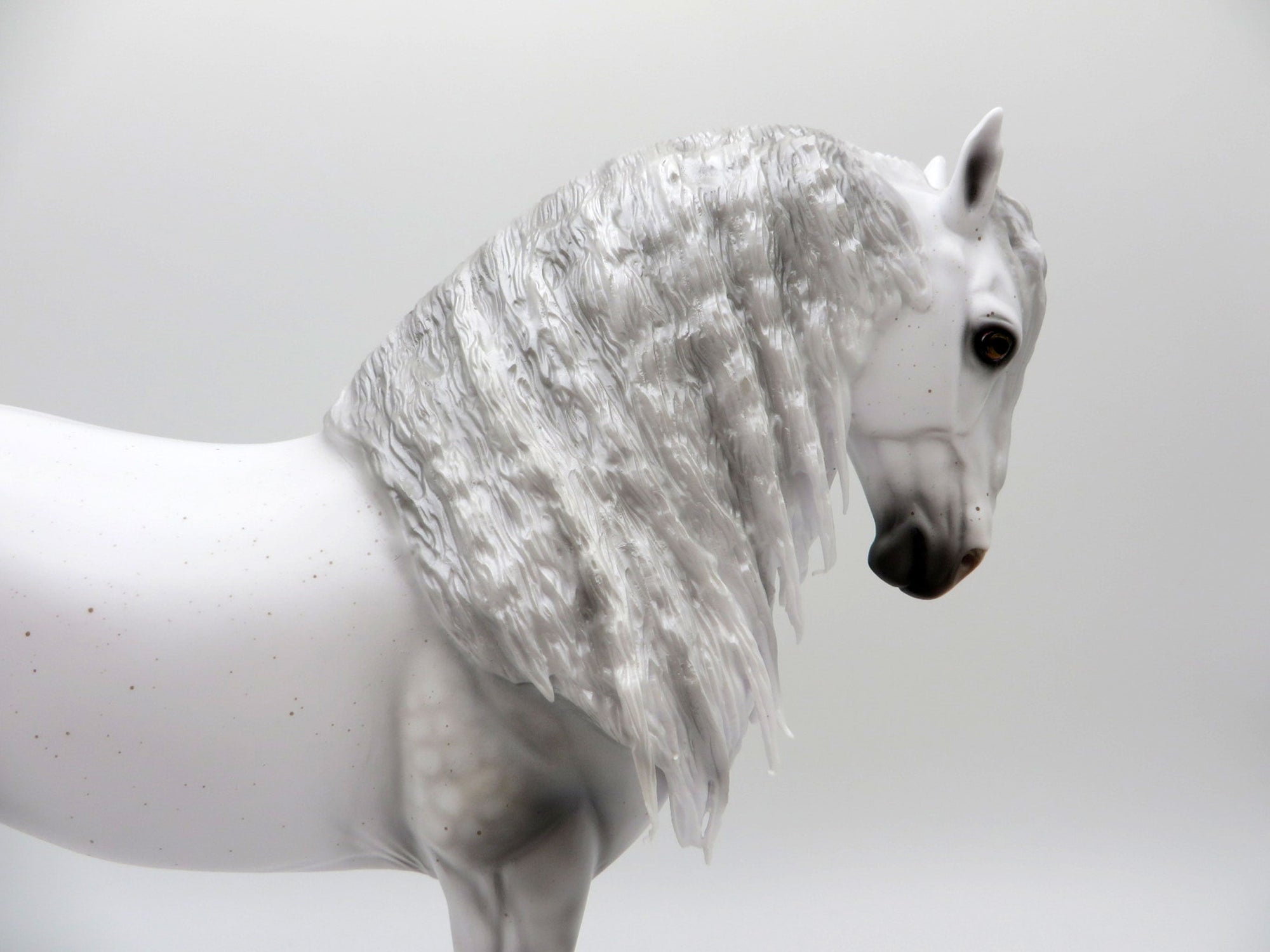 Magnifico-LE-30 Dapple Grey Andalusian painted by Carrie Keller EQ 2021