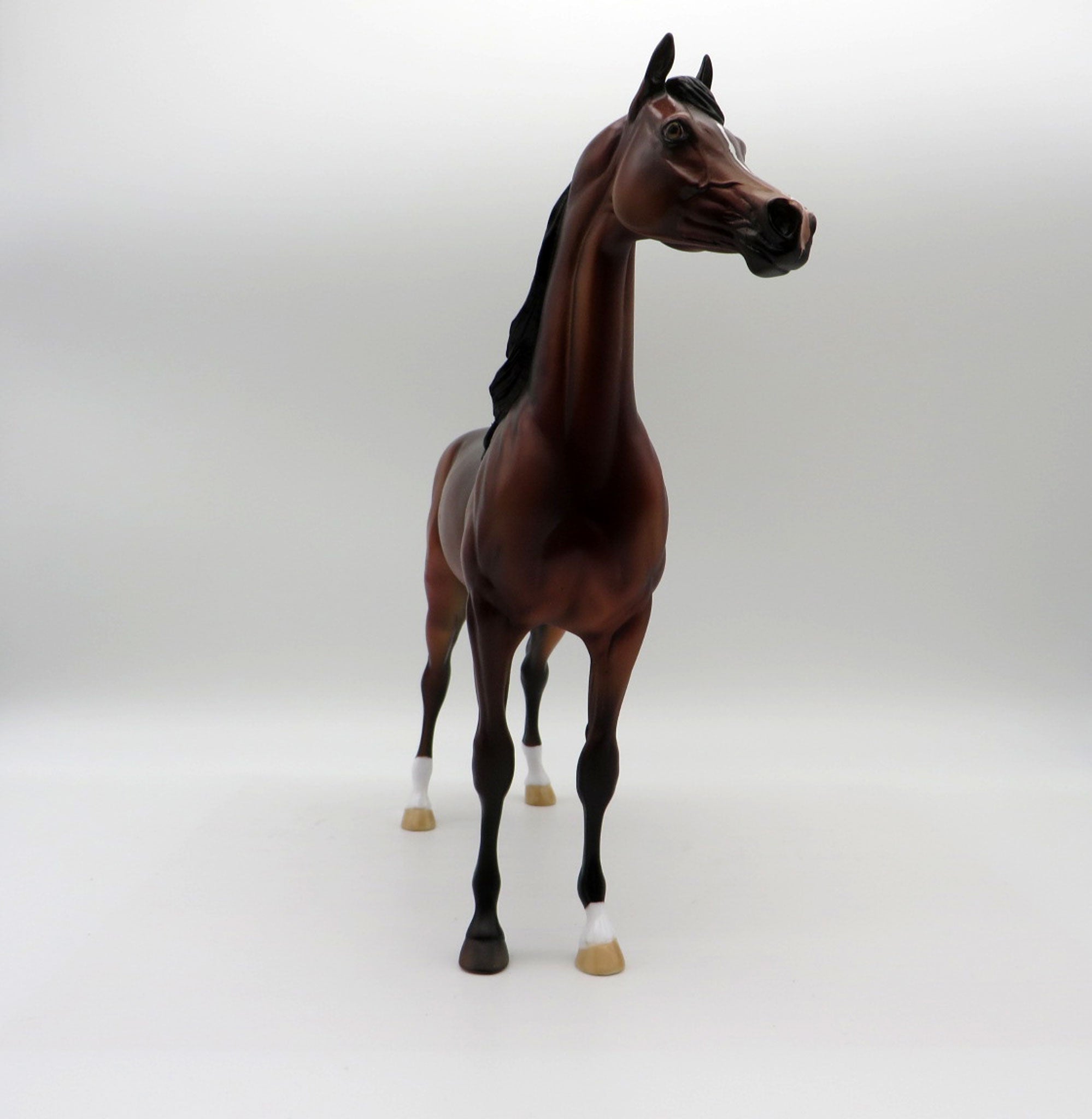 Maple-OOAK Dapple Bay Arabian Painted By Dawn Quick 5/14/21