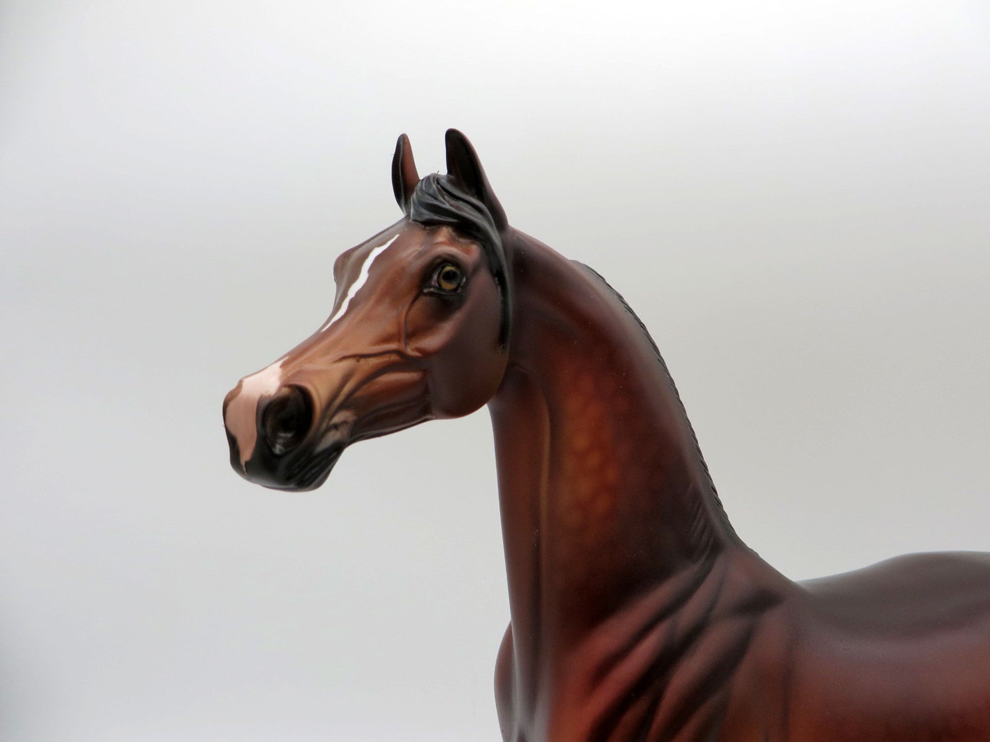 Maple-OOAK Dapple Bay Arabian Painted By Dawn Quick 5/14/21