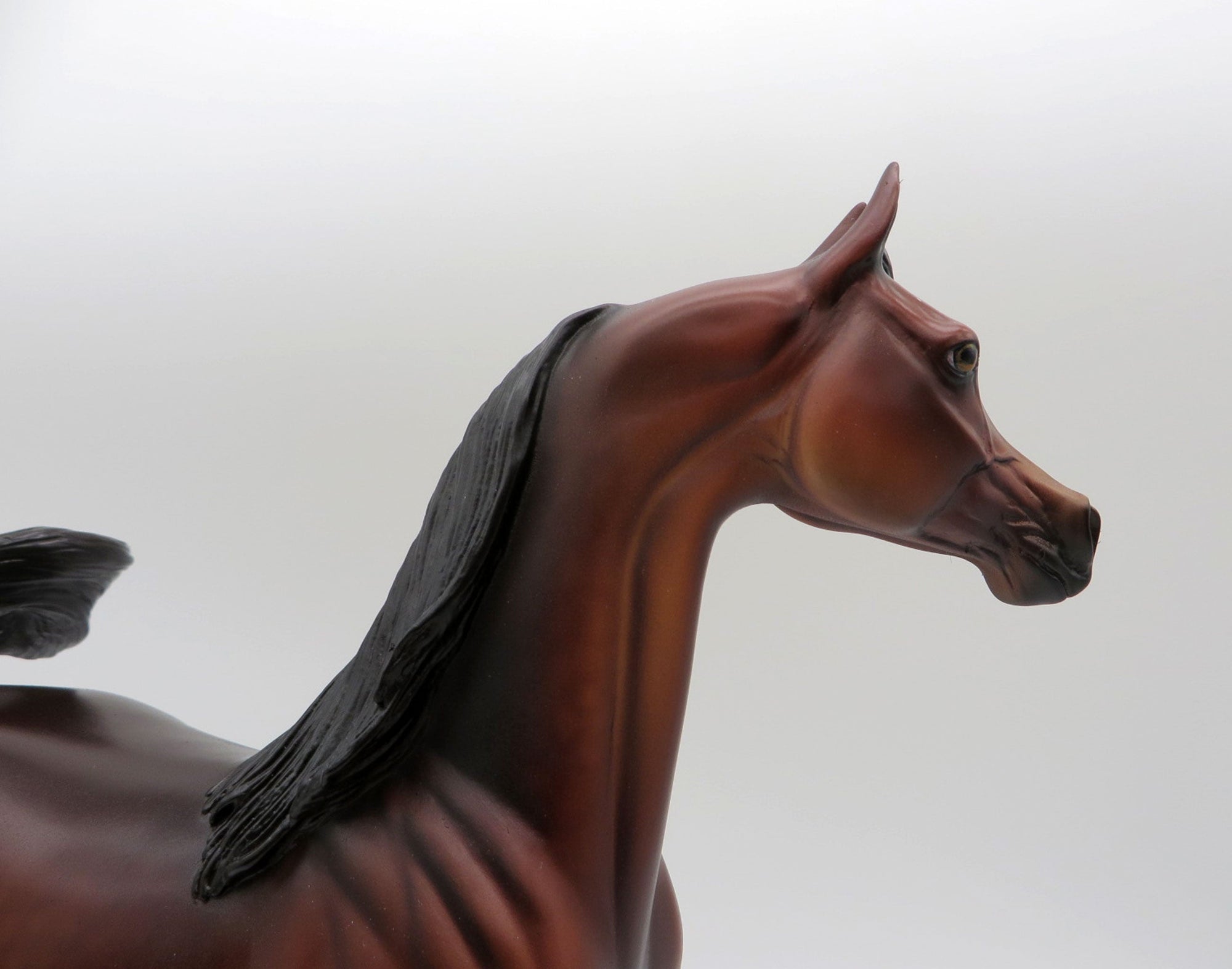 Maple-OOAK Dapple Bay Arabian Painted By Dawn Quick 5/14/21