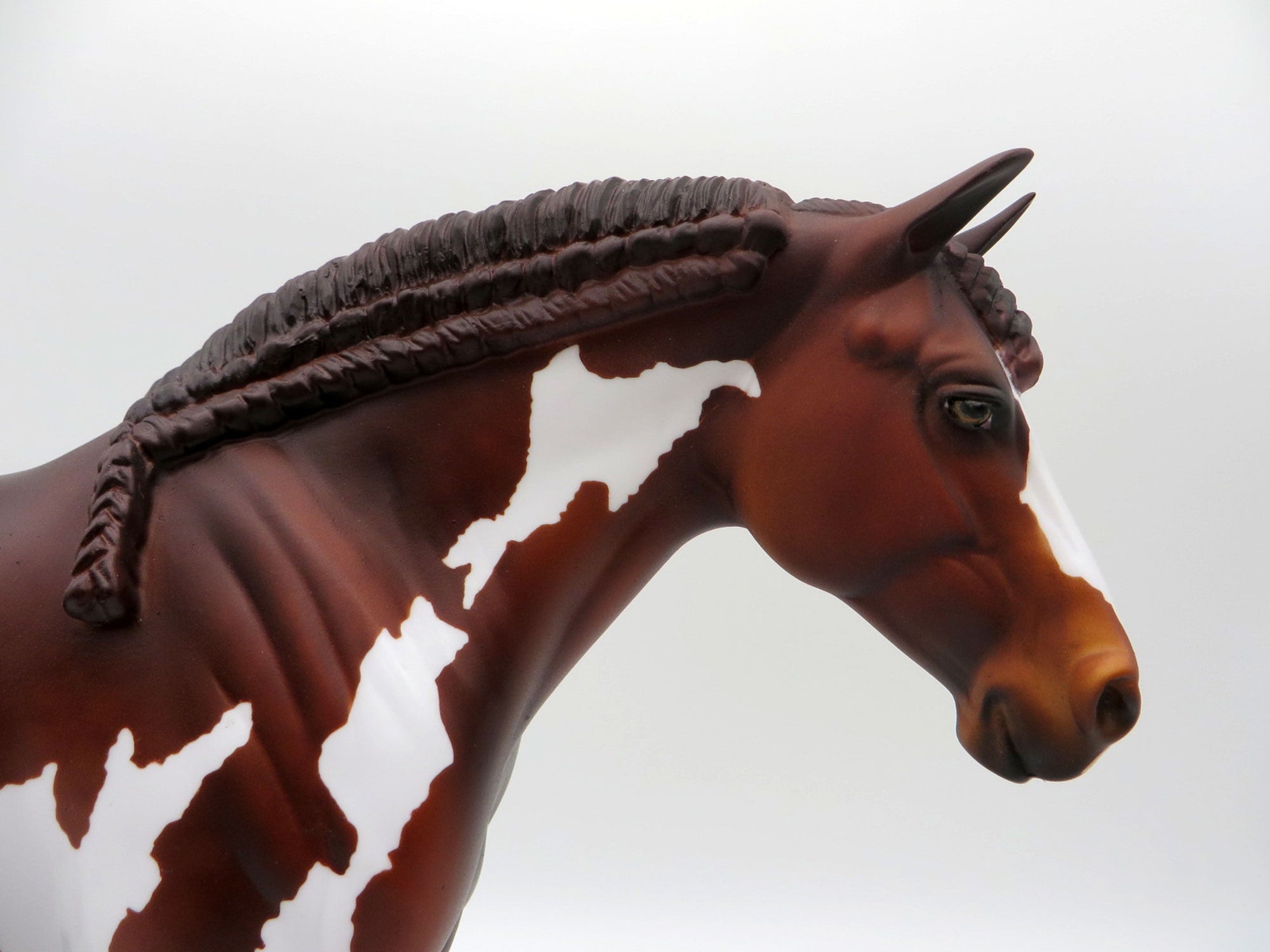 May Day-LE-3 Chestnut Paint Heavy Draft Mare SHCF 2021