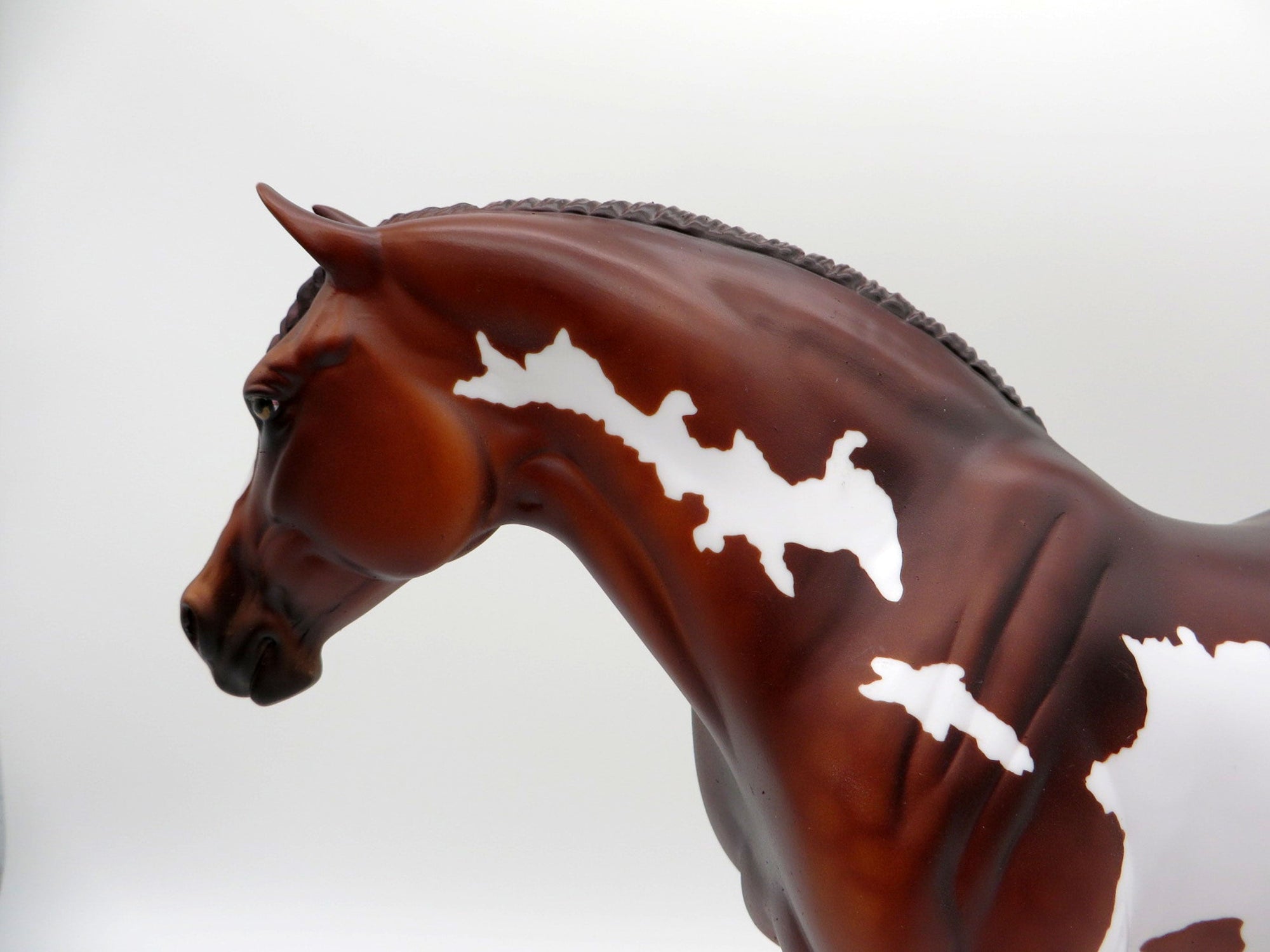 May Day-LE-3 Chestnut Paint Heavy Draft Mare SHCF 2021