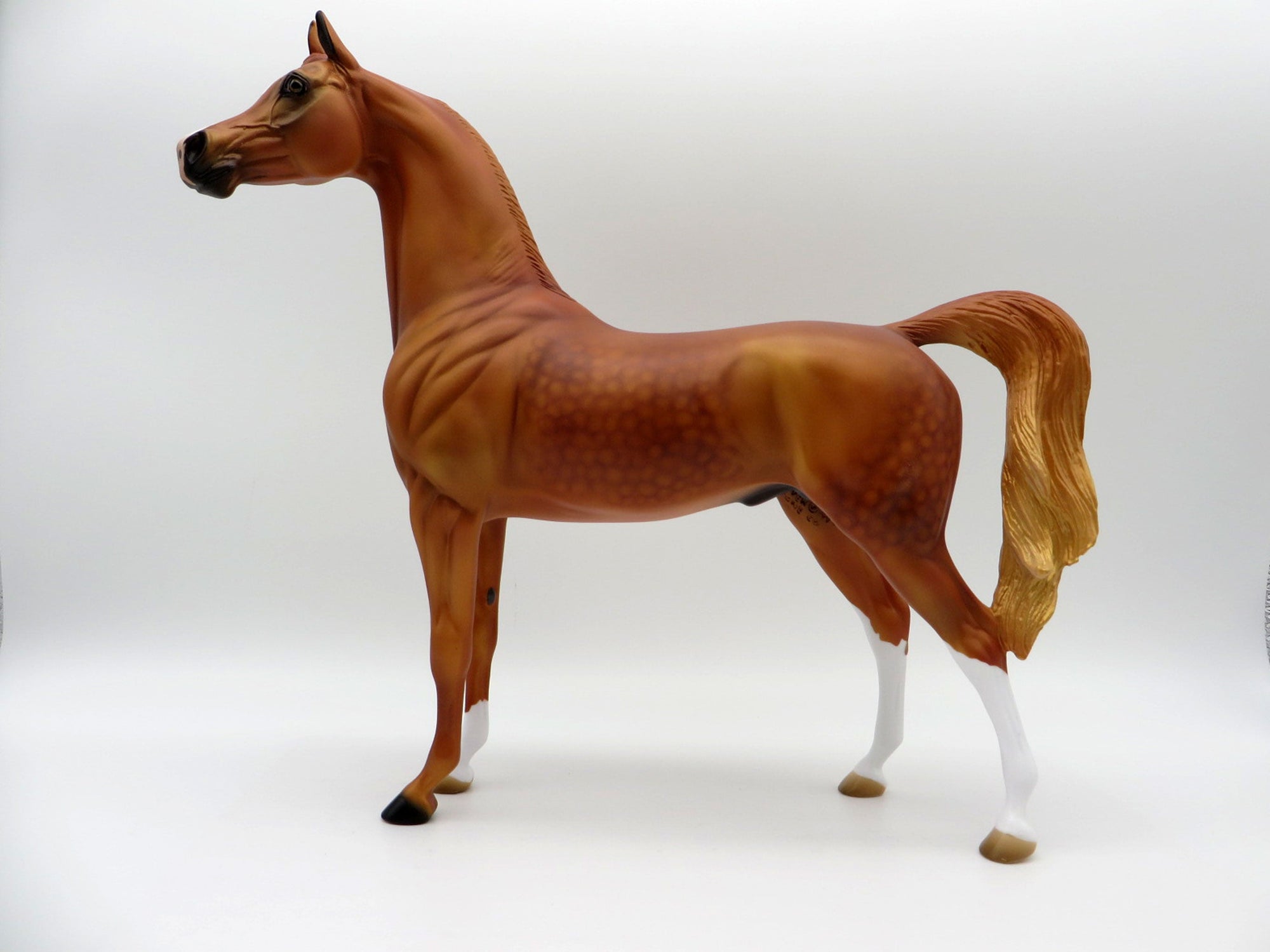 May King-LE-15 Dapple Chestnut Arabian Stone Horse Country Fair 2021