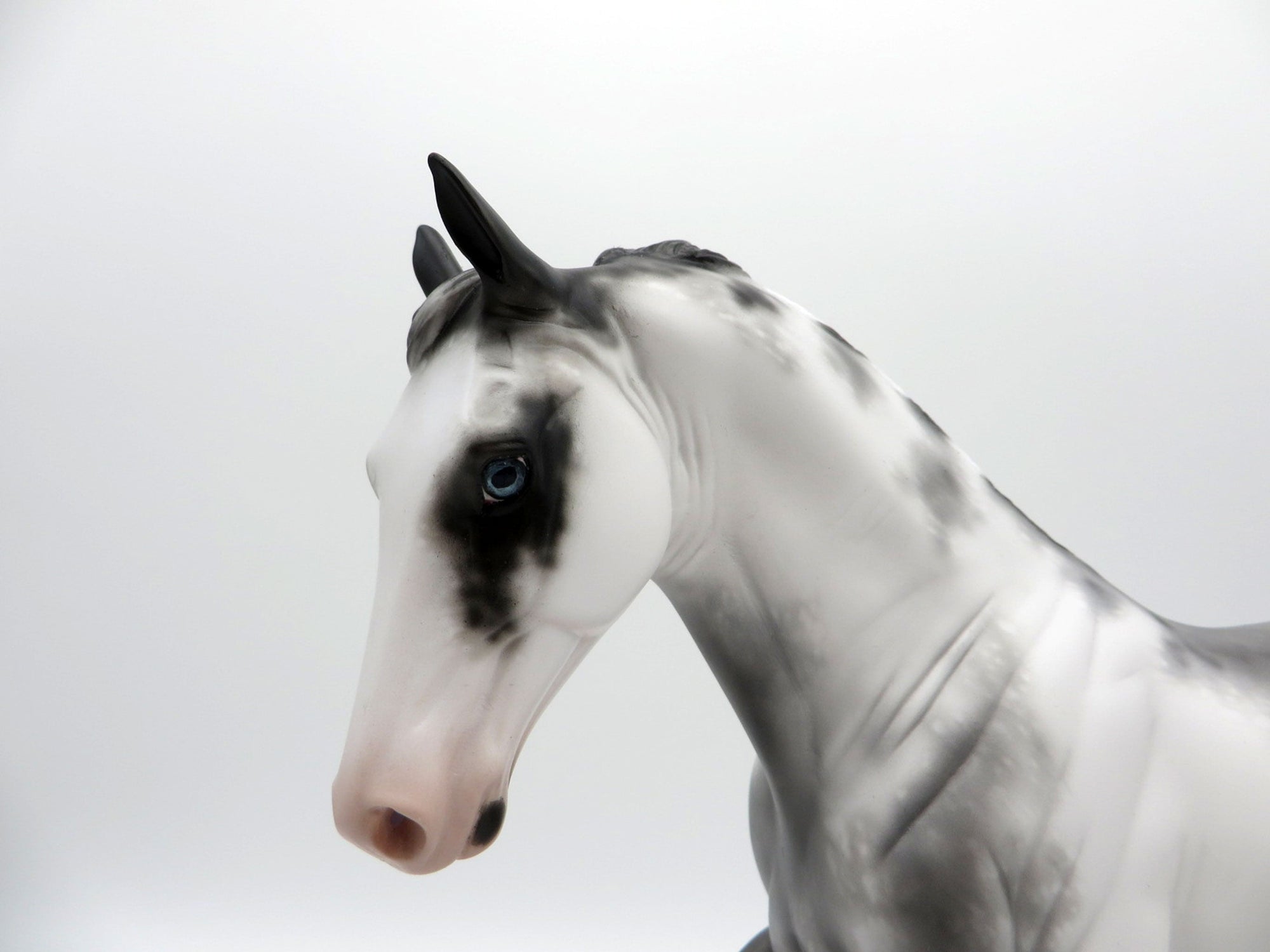 Maynard-OOAK Black Sabino Tennessee Walker By Sheryl Leisure 3/29/21