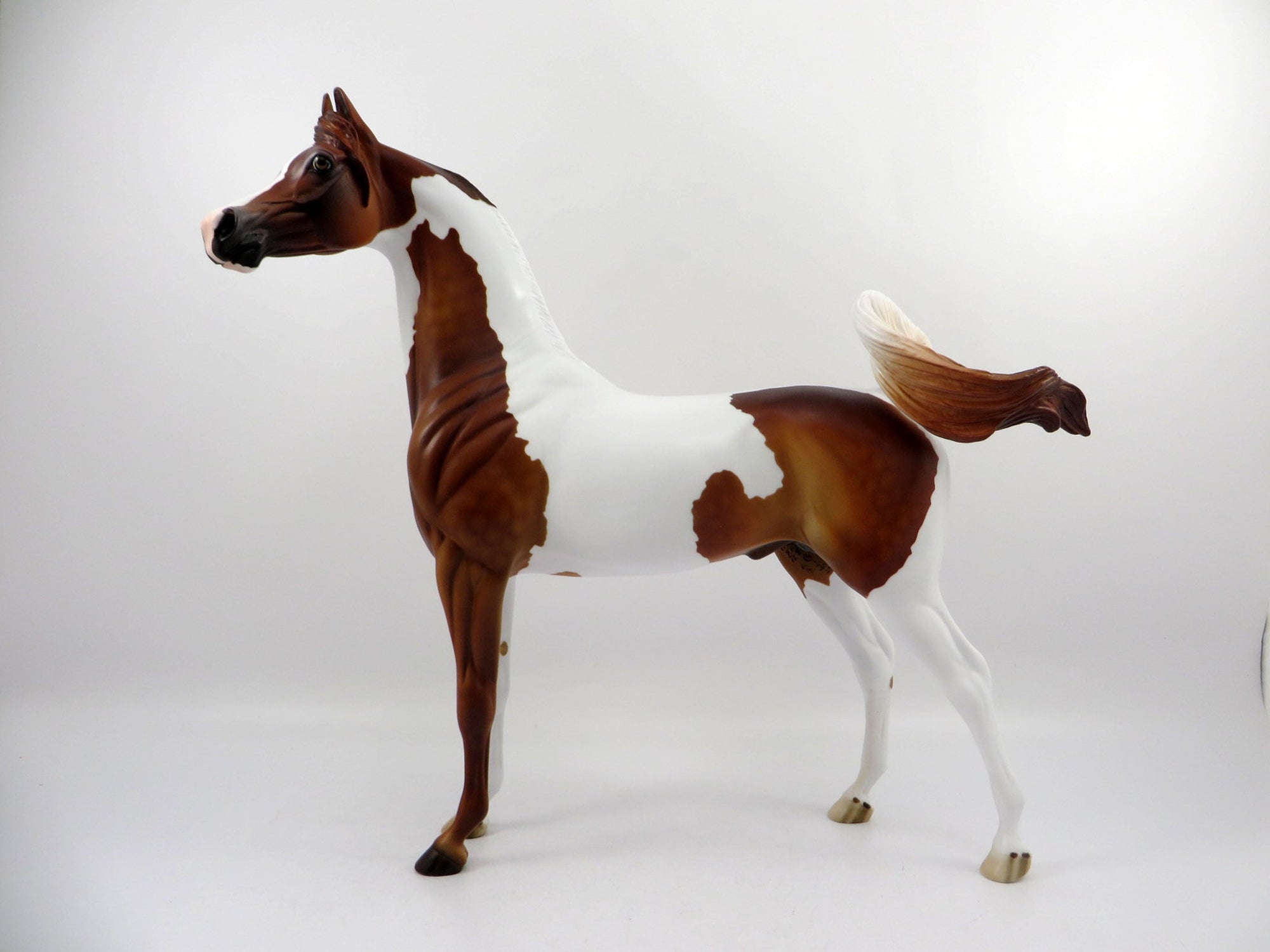 Medal-OOAK Dapple Chestnut Paint Arabian Bingo 3/18