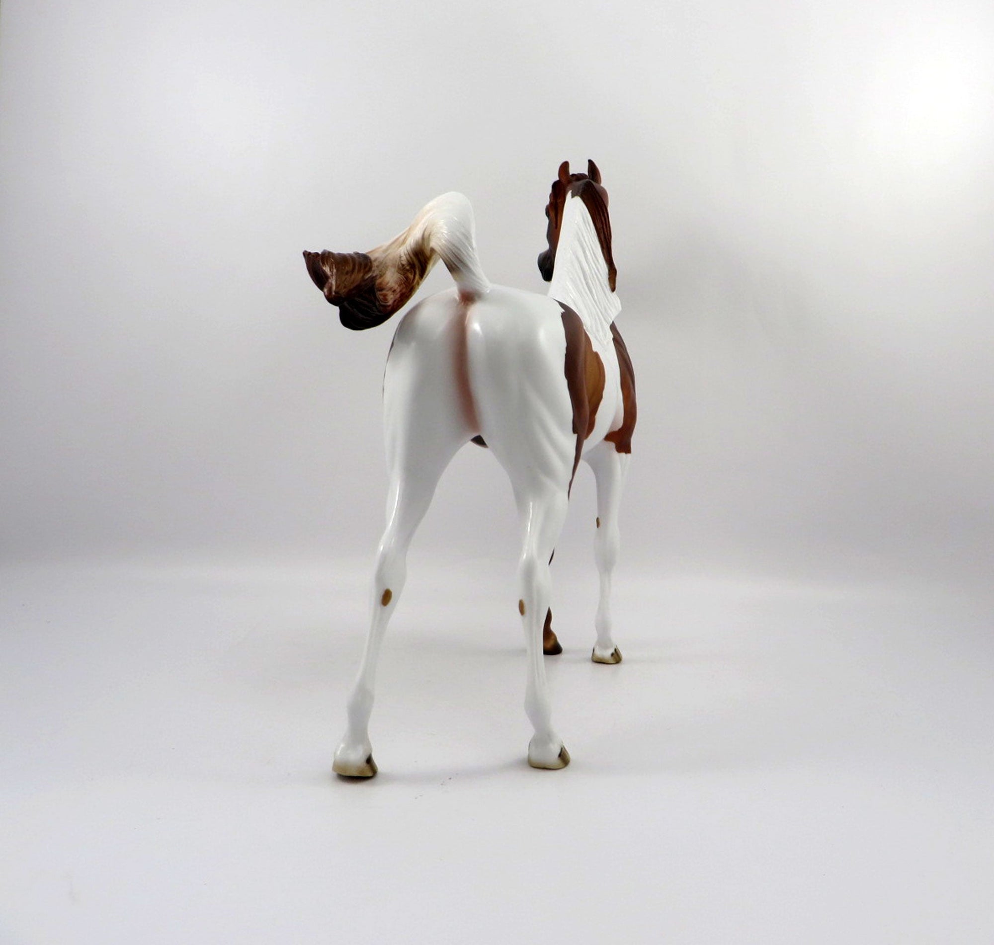 Medal-OOAK Dapple Chestnut Paint Arabian Bingo 3/18