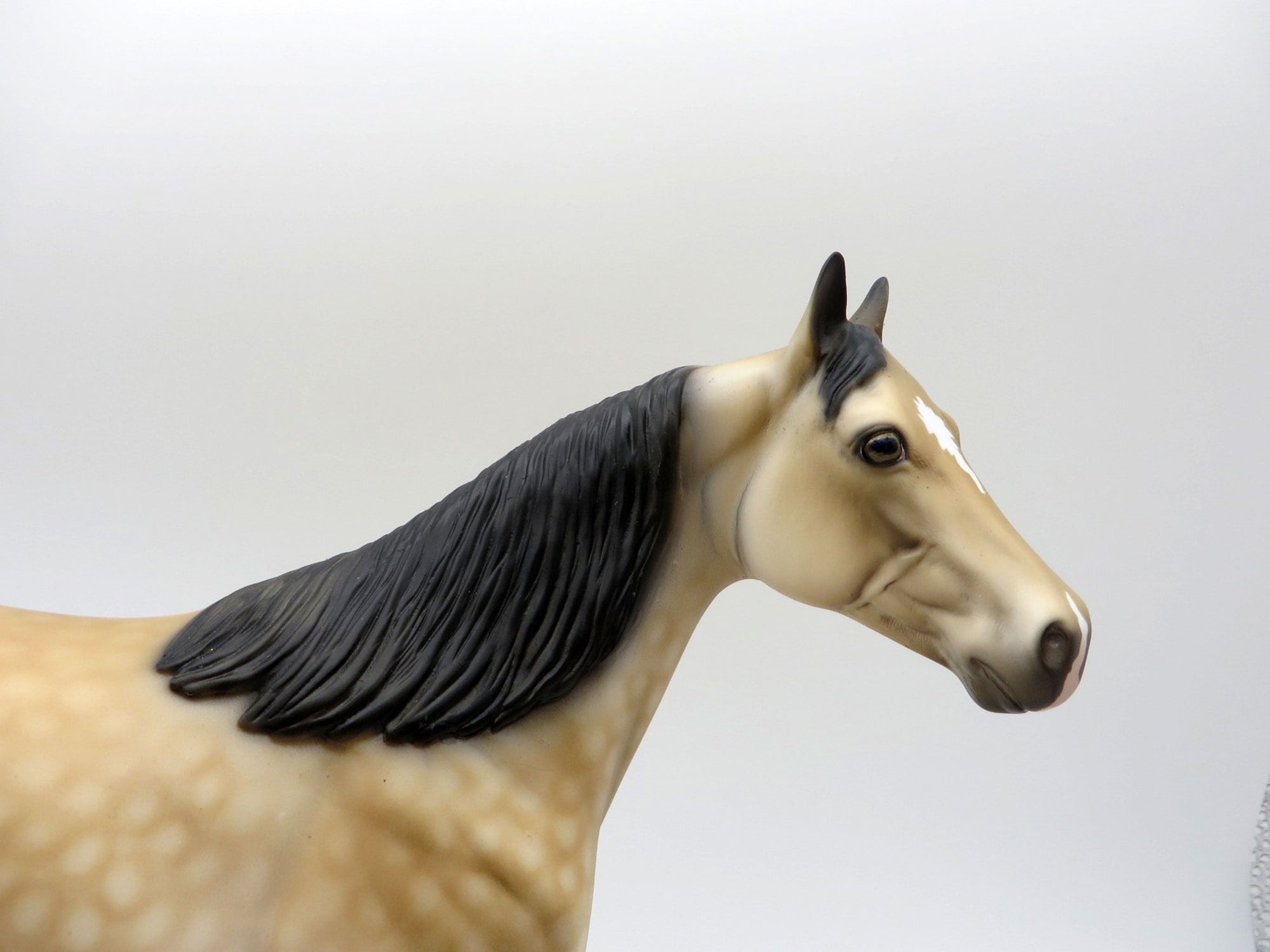 Medicine Wheel-OOAK Dapple Buckskin Painted By Dawn Quick 5/28/21