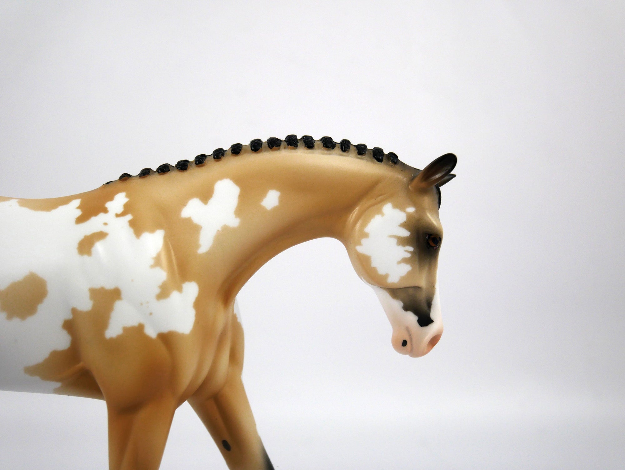 Mel-OOAK Buckskin Warmblood Paint by Ellen 1/29/21