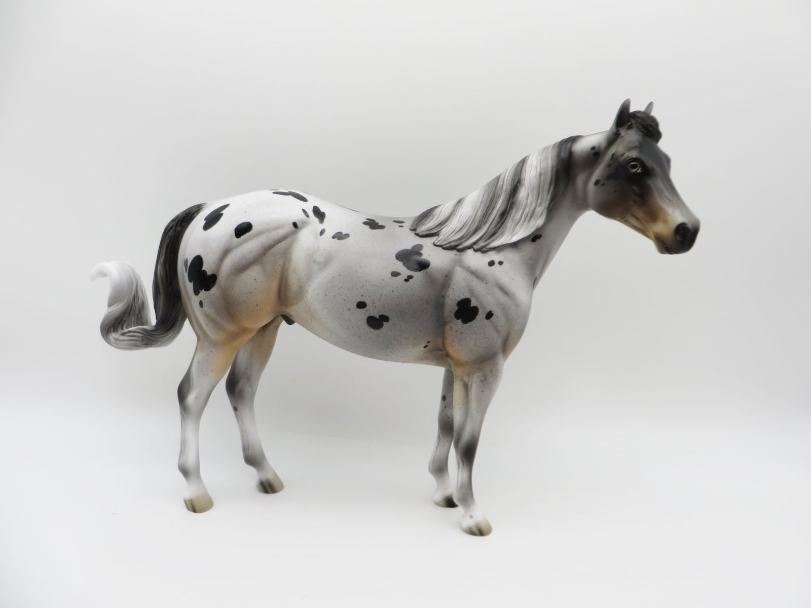Merle - LE-3 Appaloosa Ideal Stock Horse By Jess Hamill - Paws & Claws 2023 - P&C 23
