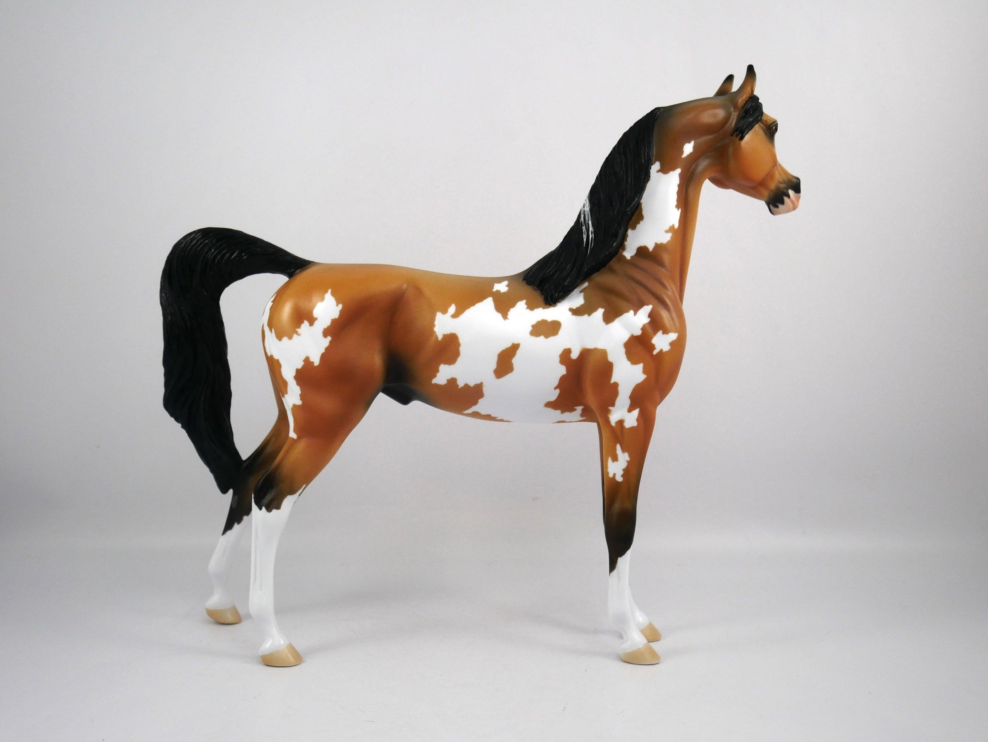 Merle-OOAK Buckskin Paint Arabian by Ellen 1/29/21