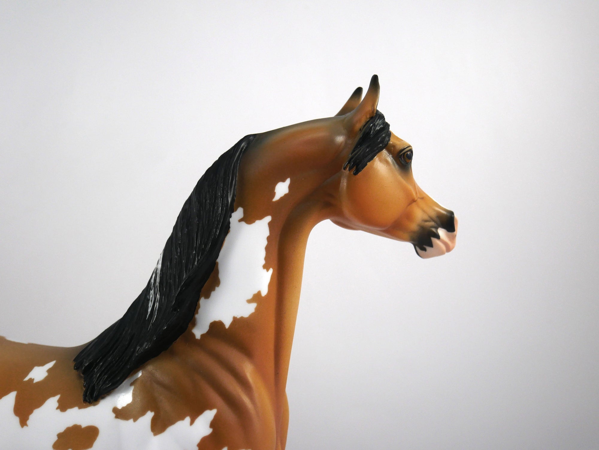 Merle-OOAK Buckskin Paint Arabian by Ellen 1/29/21