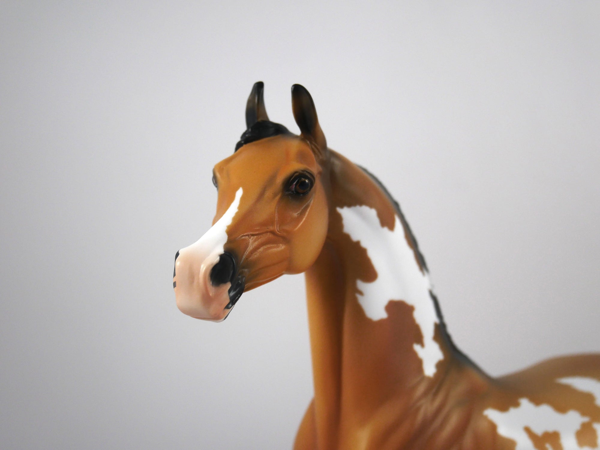 Merle-OOAK Buckskin Paint Arabian by Ellen 1/29/21