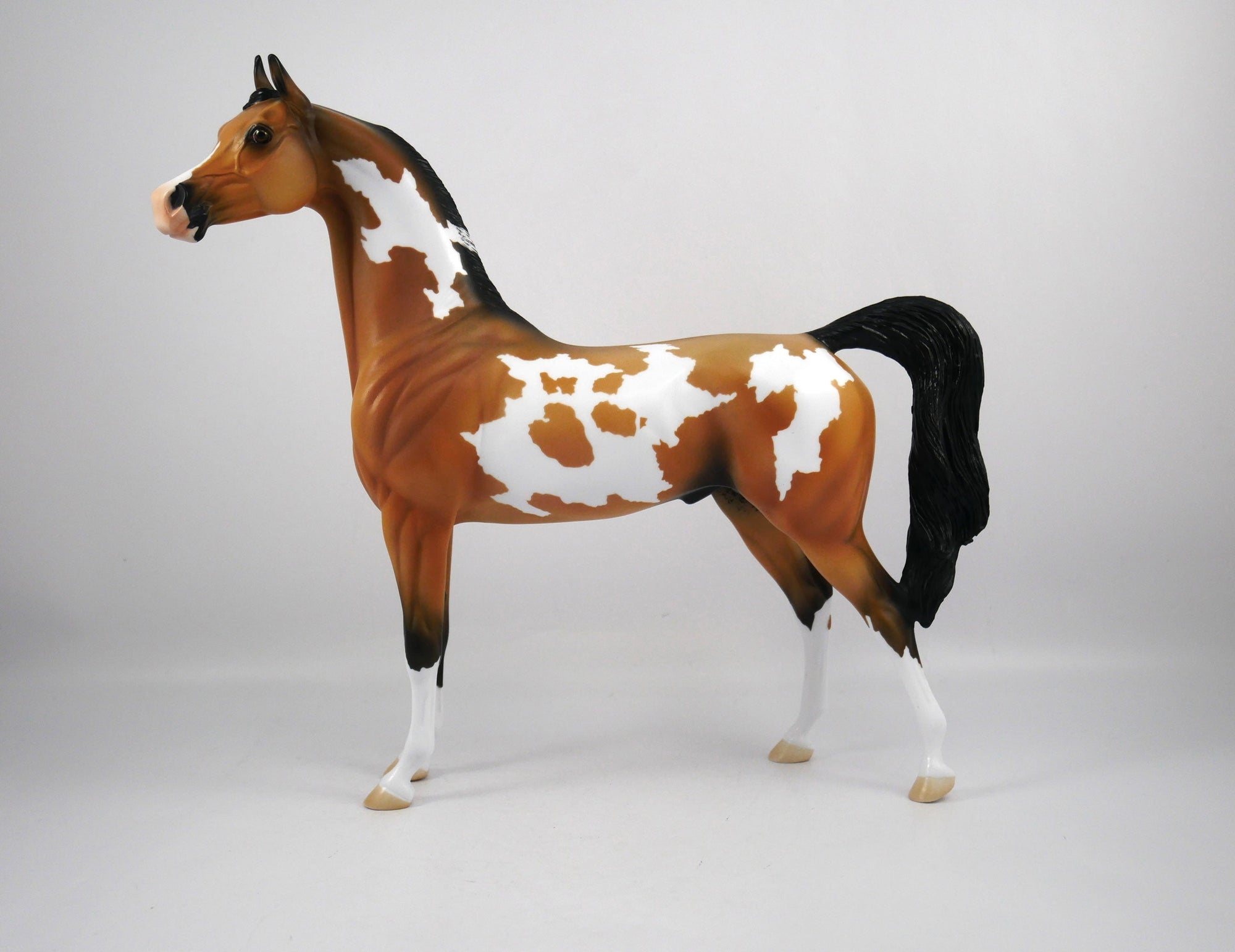 Merle-OOAK Buckskin Paint Arabian by Ellen 1/29/21