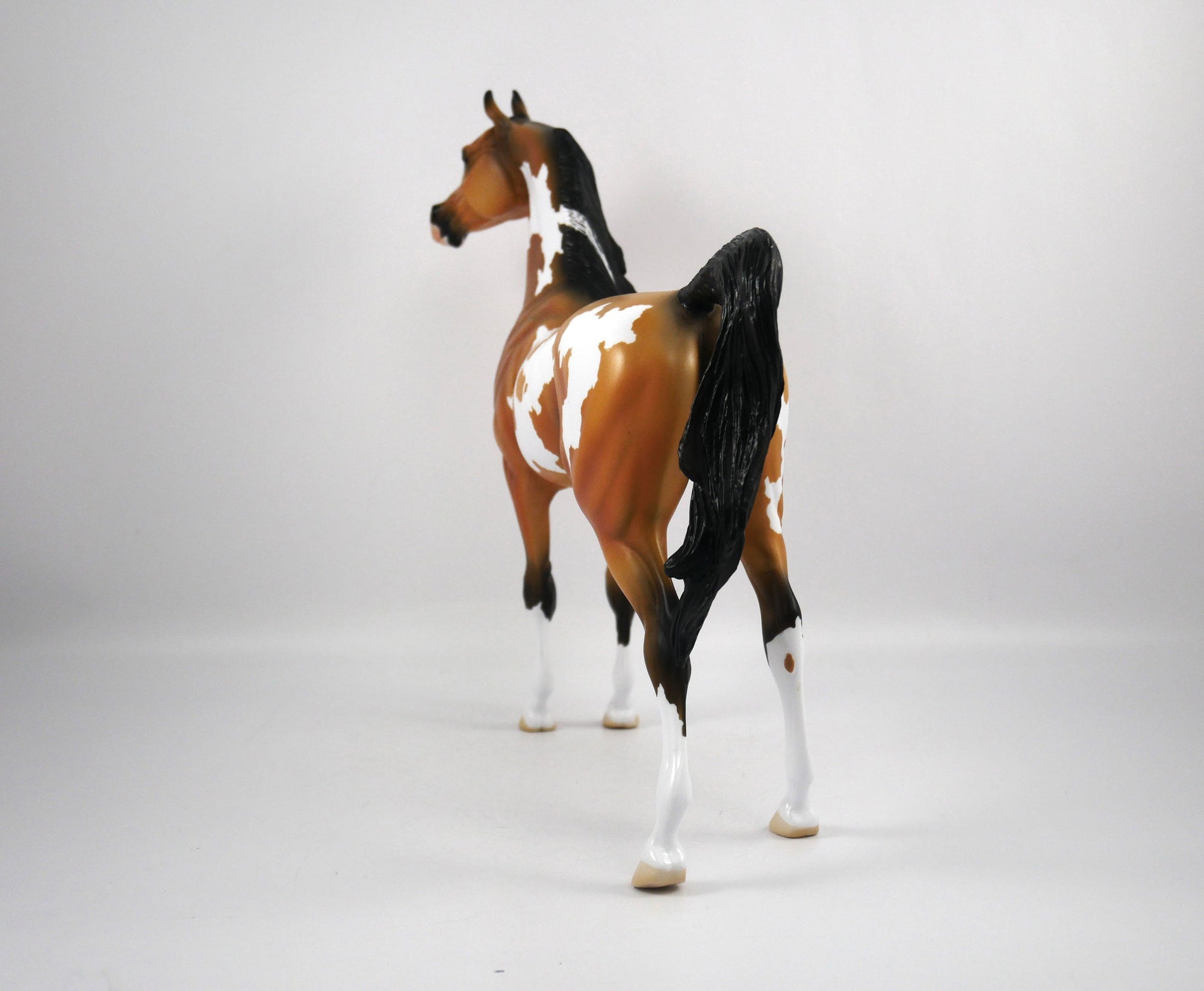 Merle-OOAK Buckskin Paint Arabian by Ellen 1/29/21