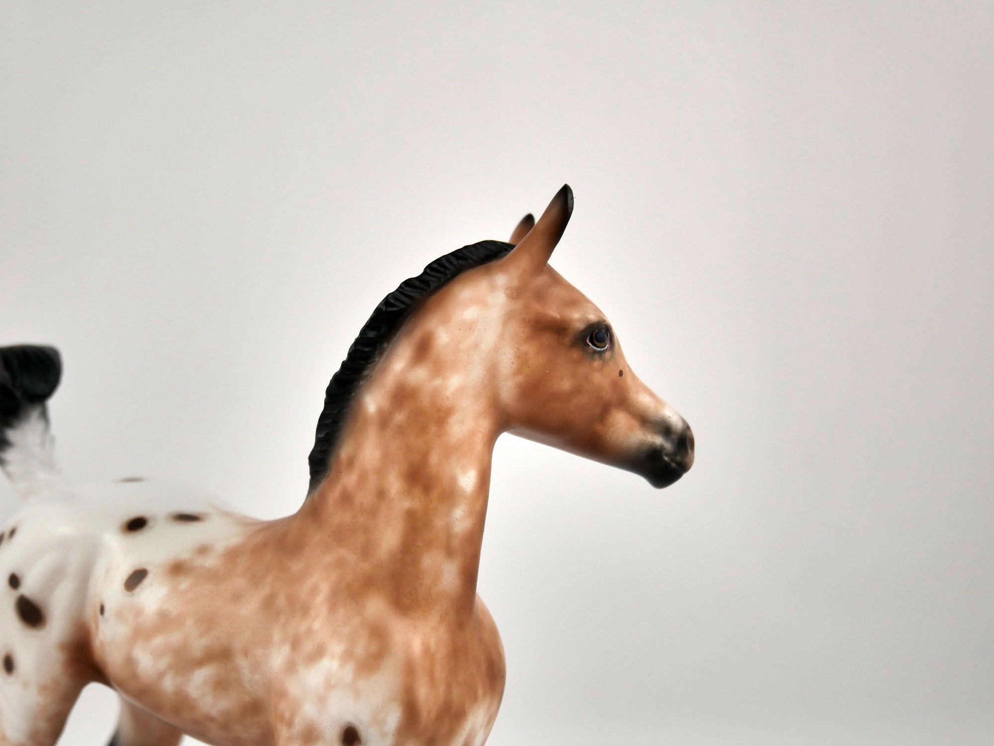 Merry-OOAK Bay Appaloosa Foal By Sheryl Leisure 12/15/20