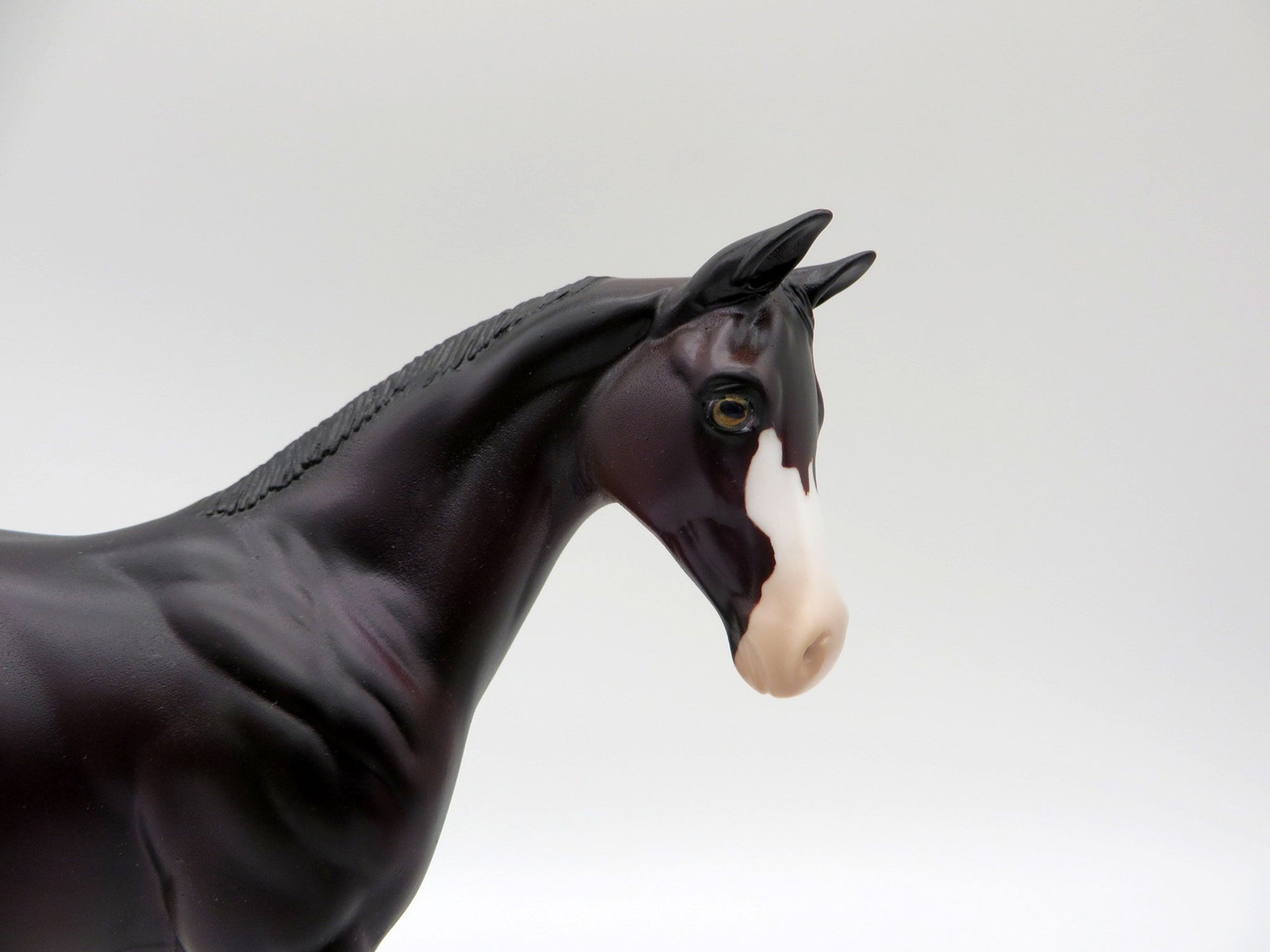 Mewtwo-OOAL Dark Bay Weanling Painted By Ellen Robbins 5/14/21