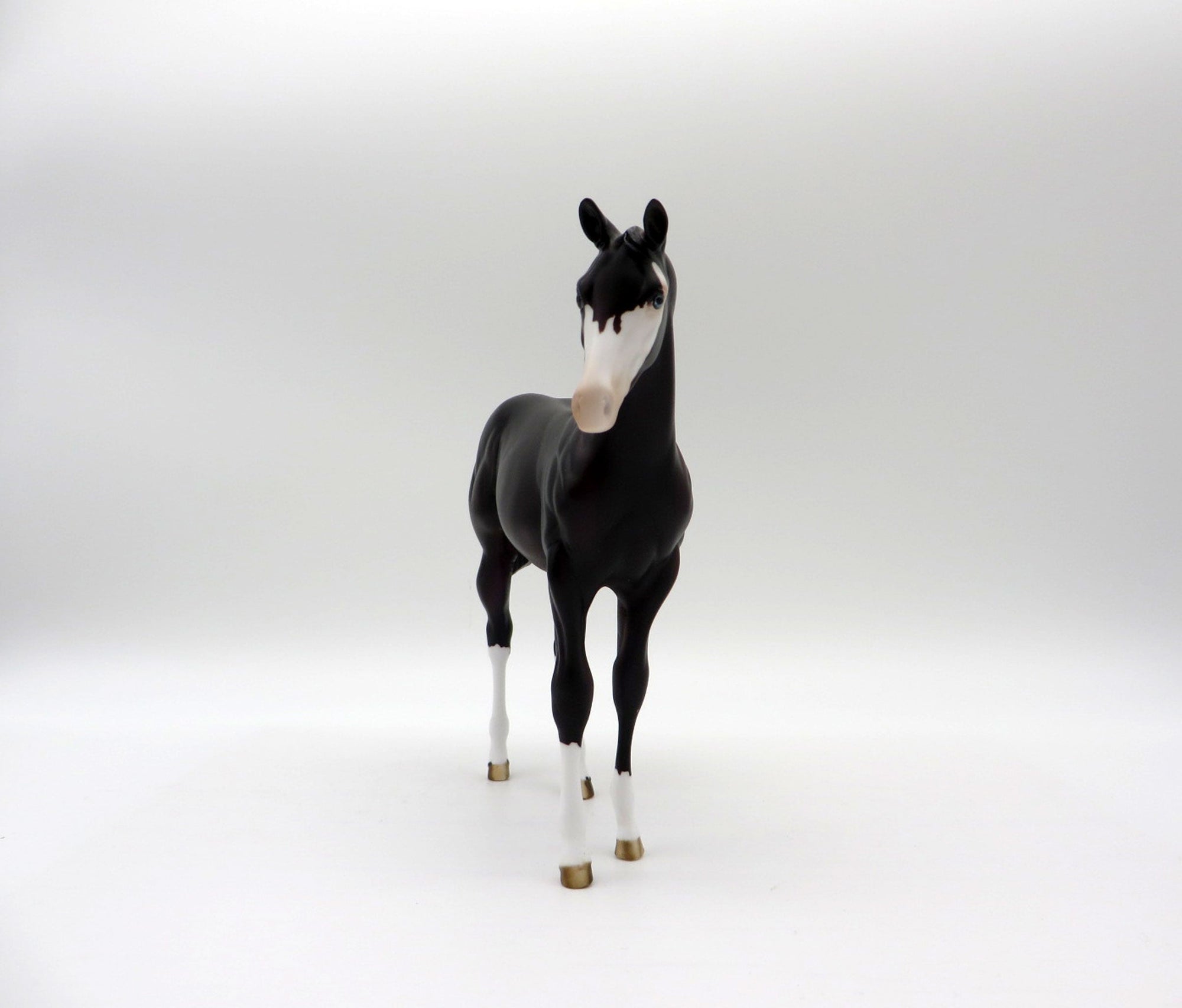 Mewtwo-OOAL Dark Bay Weanling Painted By Ellen Robbins 5/14/21