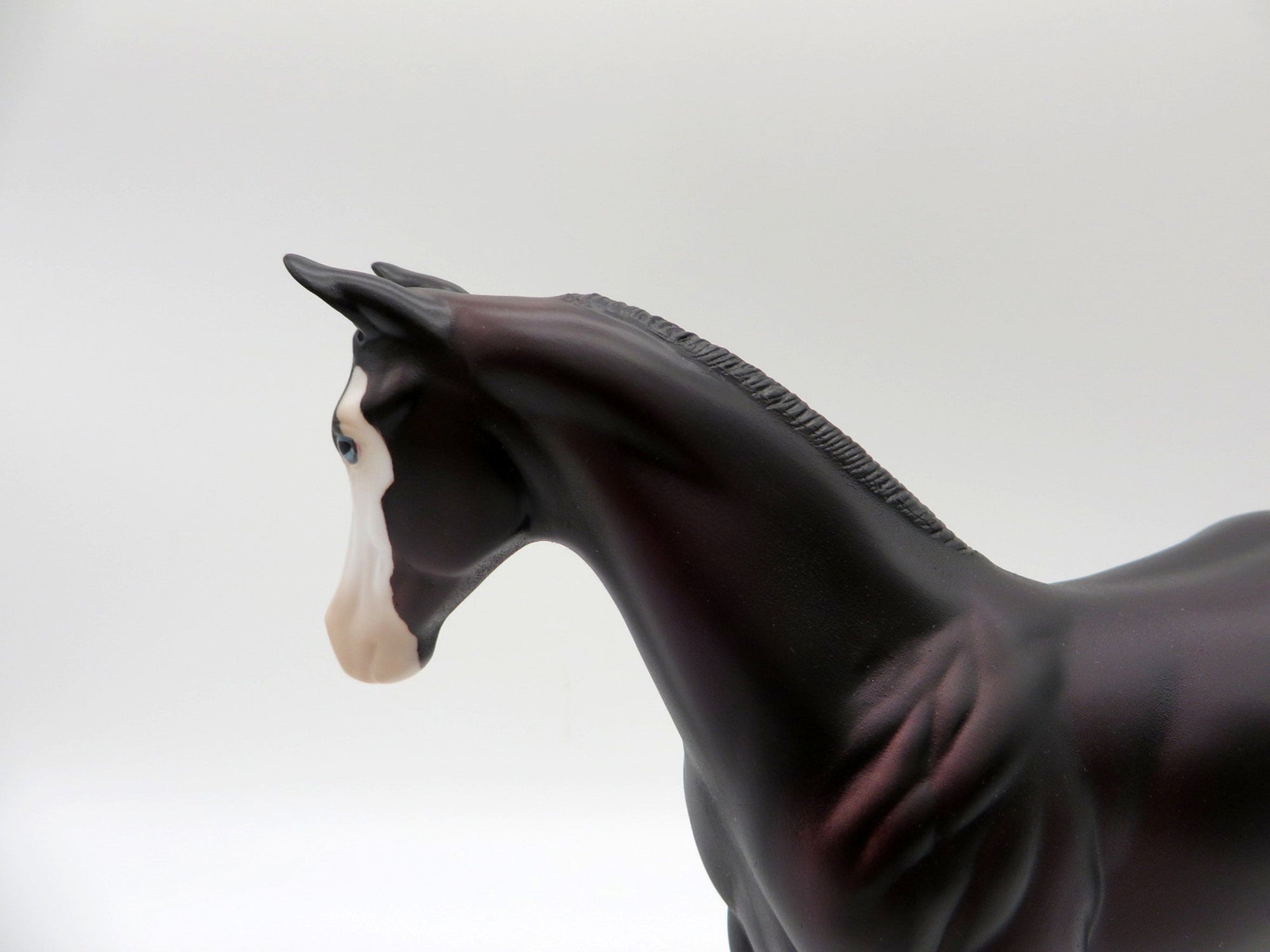 Mewtwo-OOAL Dark Bay Weanling Painted By Ellen Robbins 5/14/21