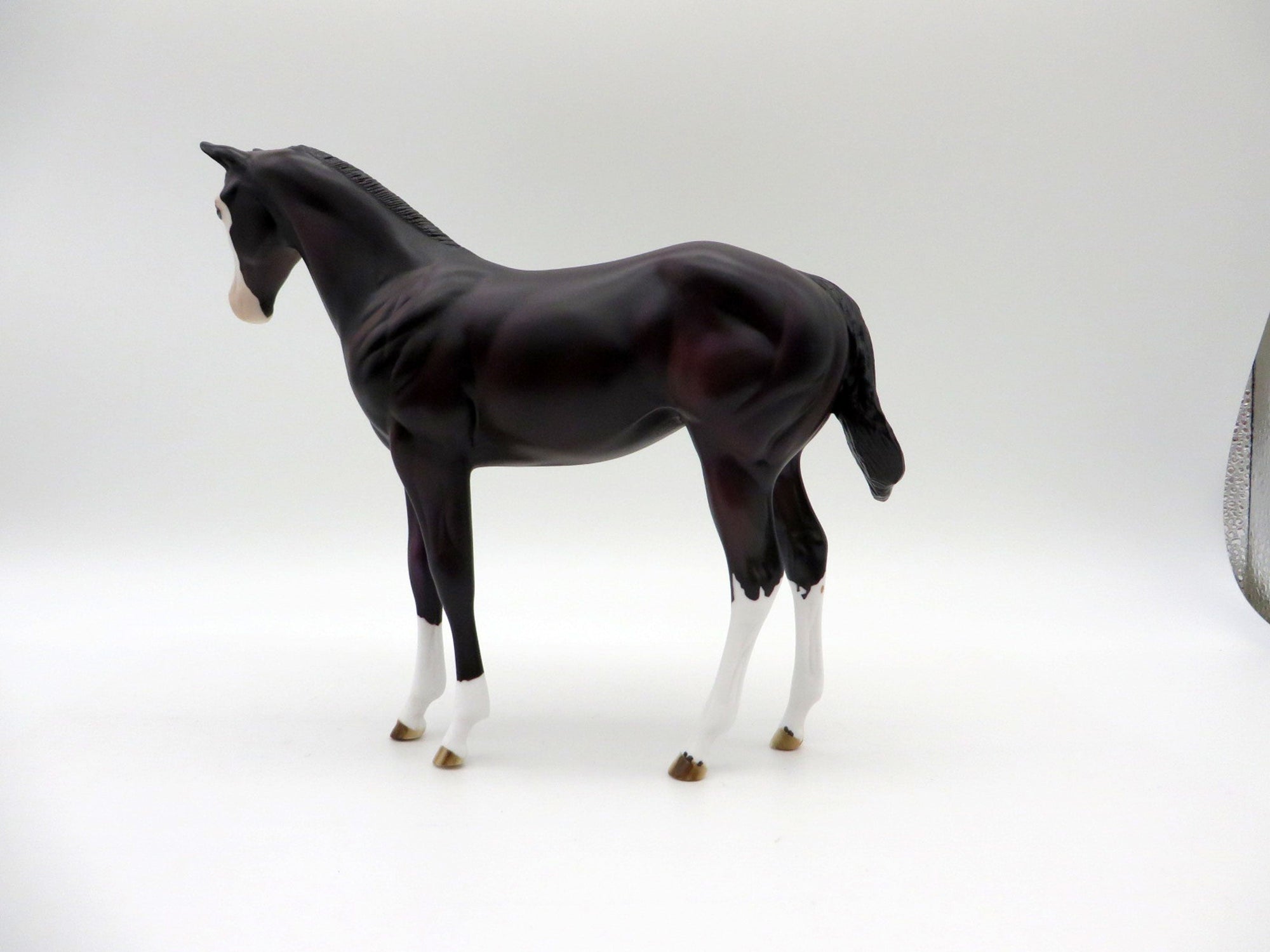 Mewtwo-OOAL Dark Bay Weanling Painted By Ellen Robbins 5/14/21