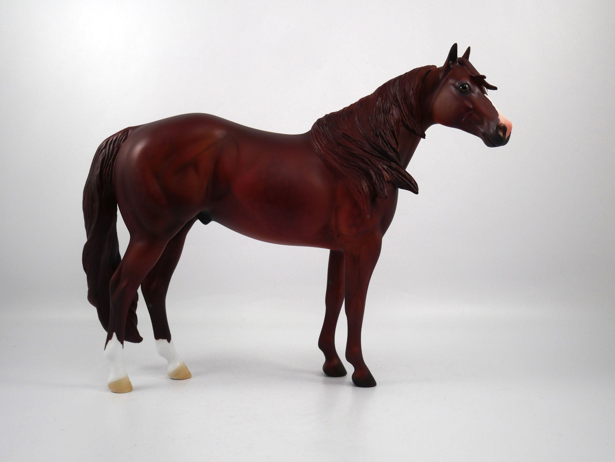 MIAMI-OOAK Chestnut ISH SB21