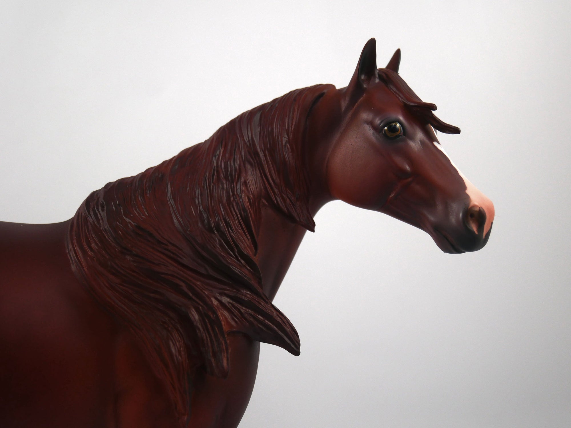 MIAMI-OOAK Chestnut ISH SB21