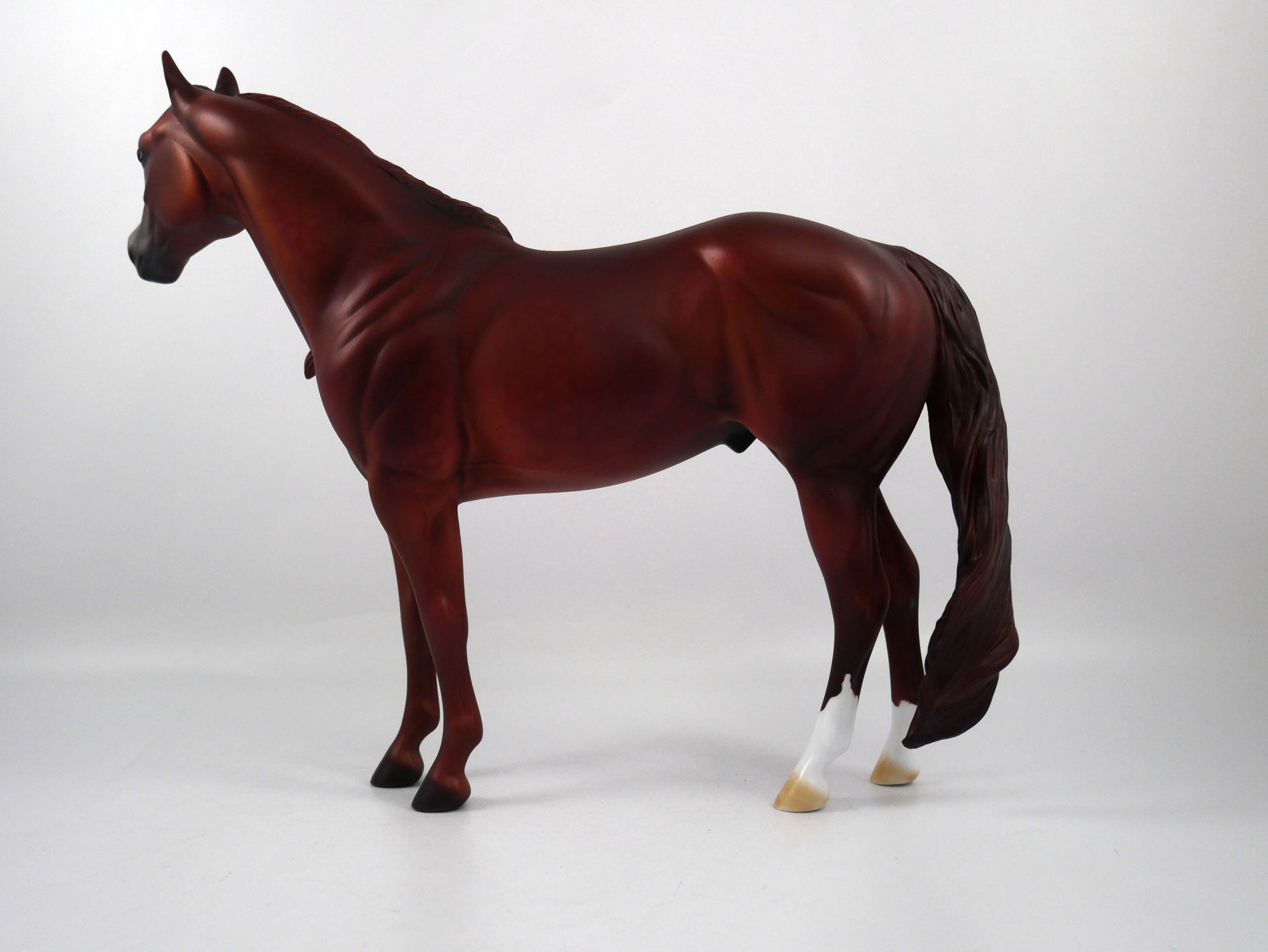 MIAMI-OOAK Chestnut ISH SB21