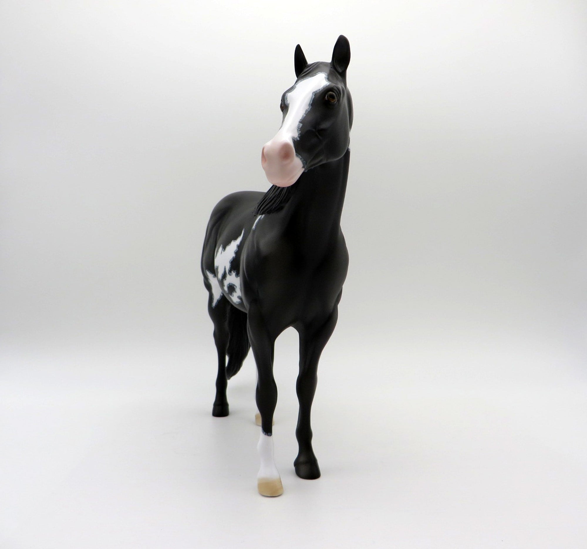 Mitzar-OOAK Dapple Black Pinto ISH SHCF 2021