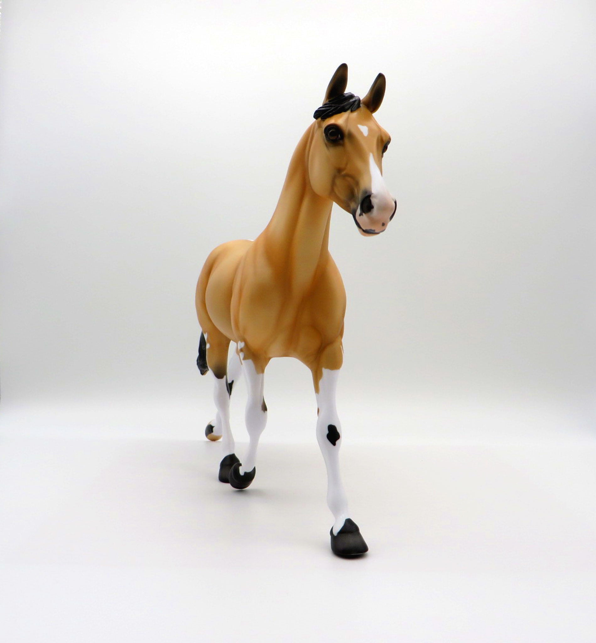 Moccasin-LE-5 Buckskin Paint Palouse 3/26/21