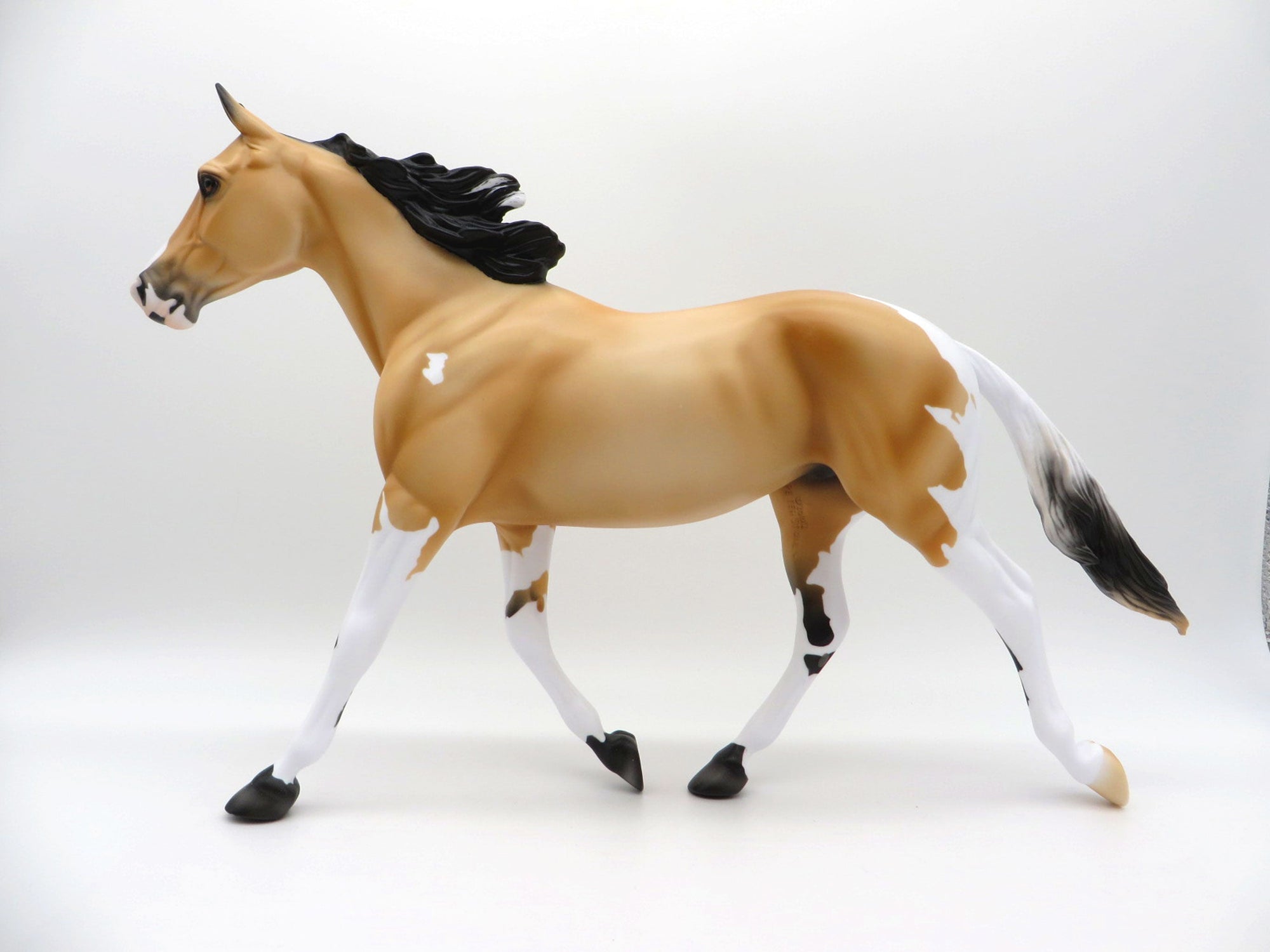 Moccasin-LE-5 Buckskin Paint Palouse 3/26/21