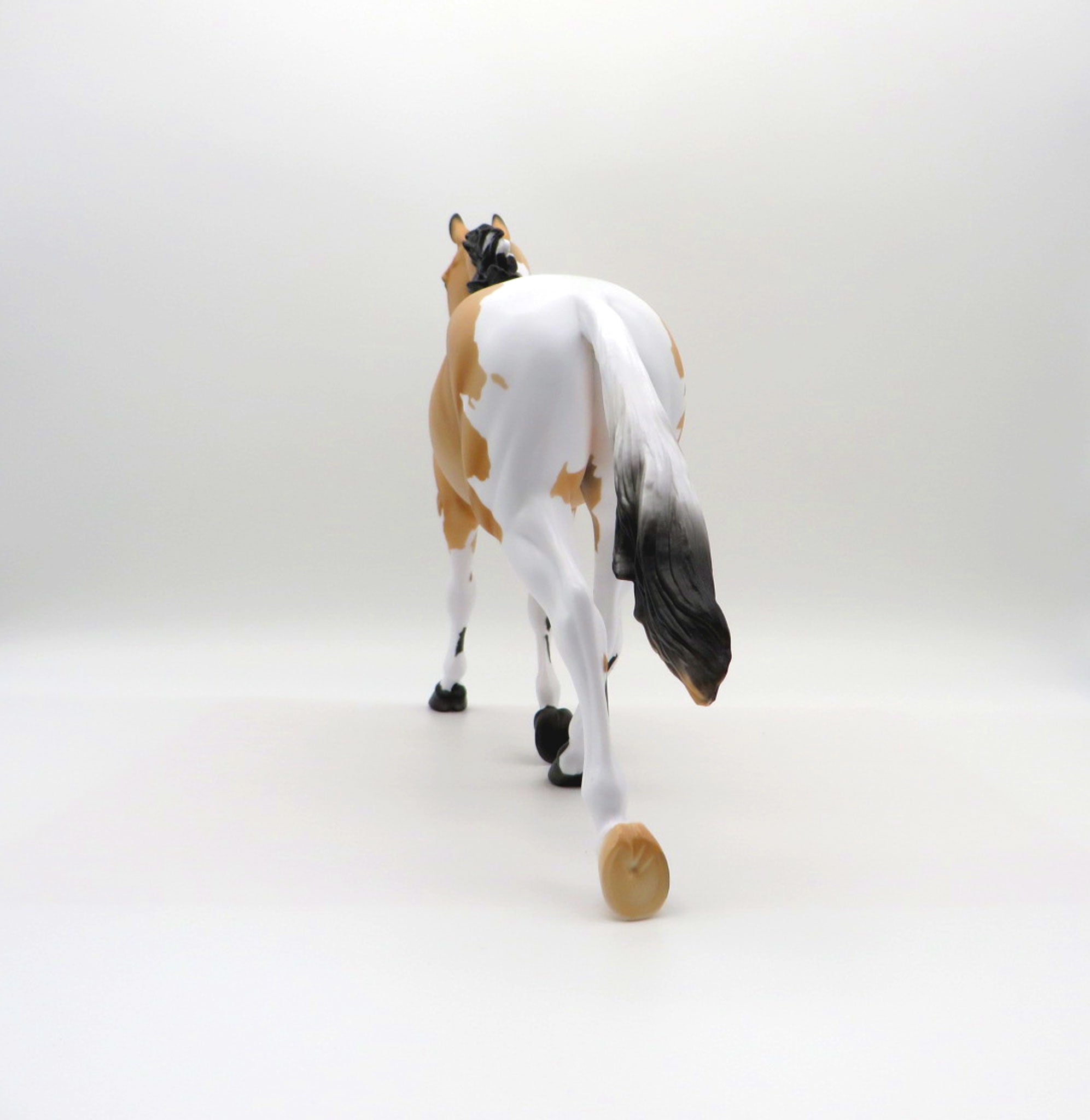 Moccasin-LE-5 Buckskin Paint Palouse 3/26/21