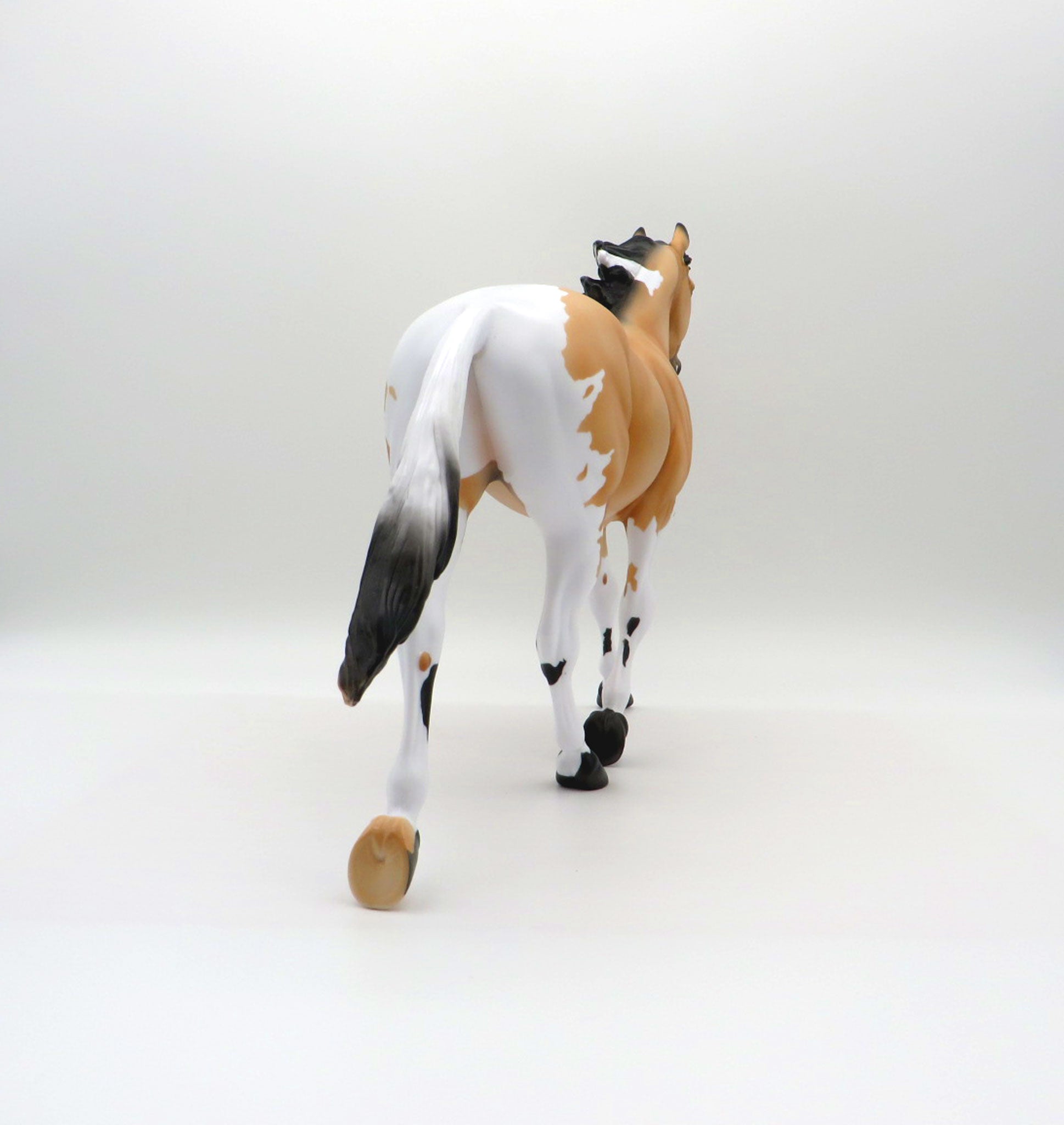 Moccasin-LE-5 Buckskin Paint Palouse 3/26/21